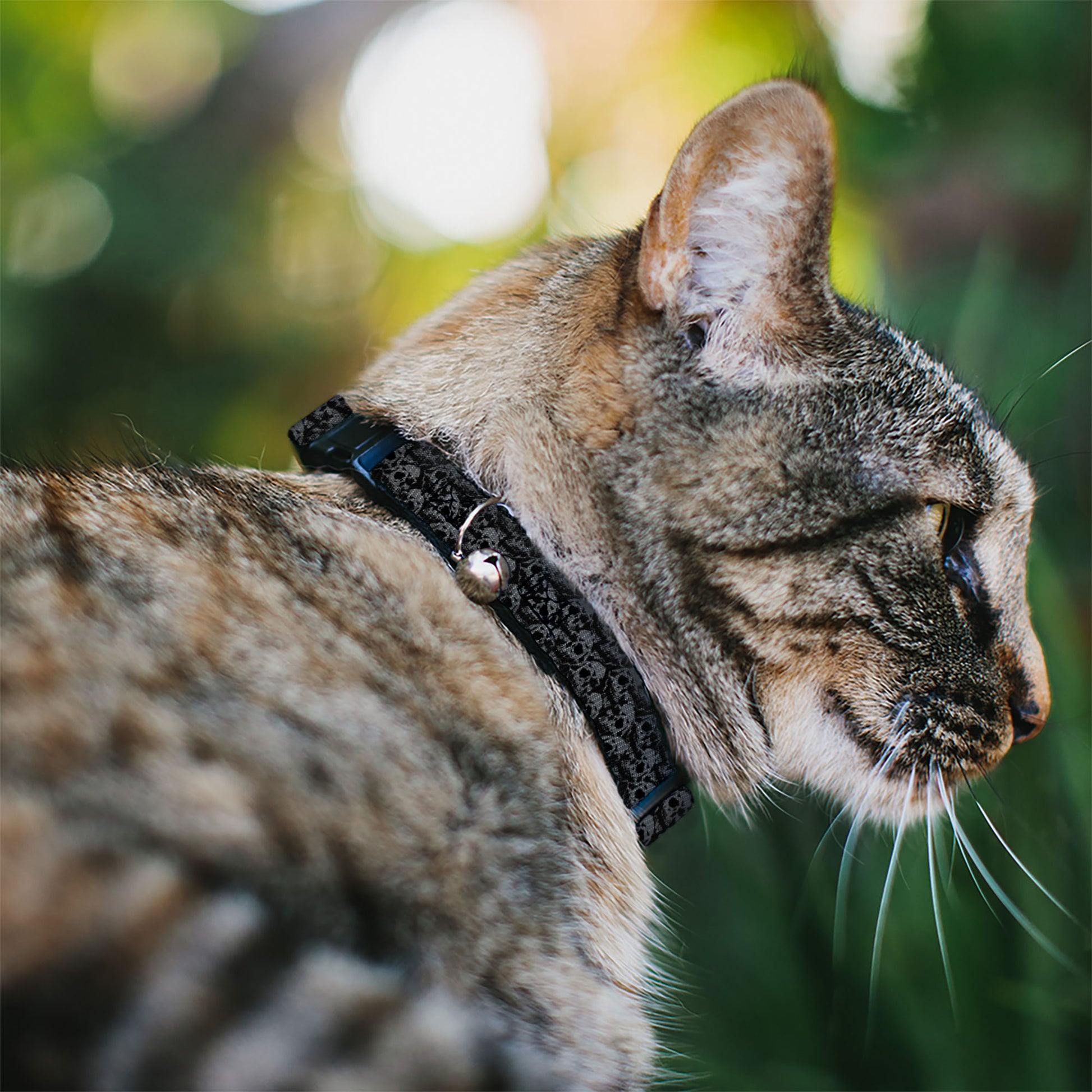 Cat Collar Breakaway - Skull Yard Black Gray Breakaway Cat Collars Buckle-Down