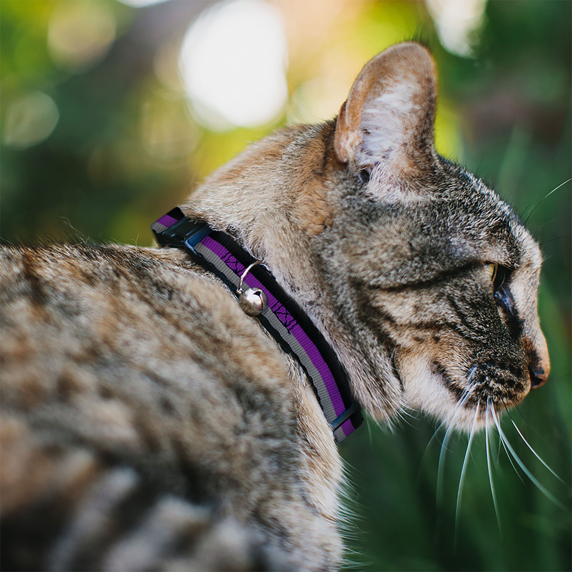 Cat Collar Breakaway - Stripes Black Purple Gray Breakaway Cat Collars Buckle-Down