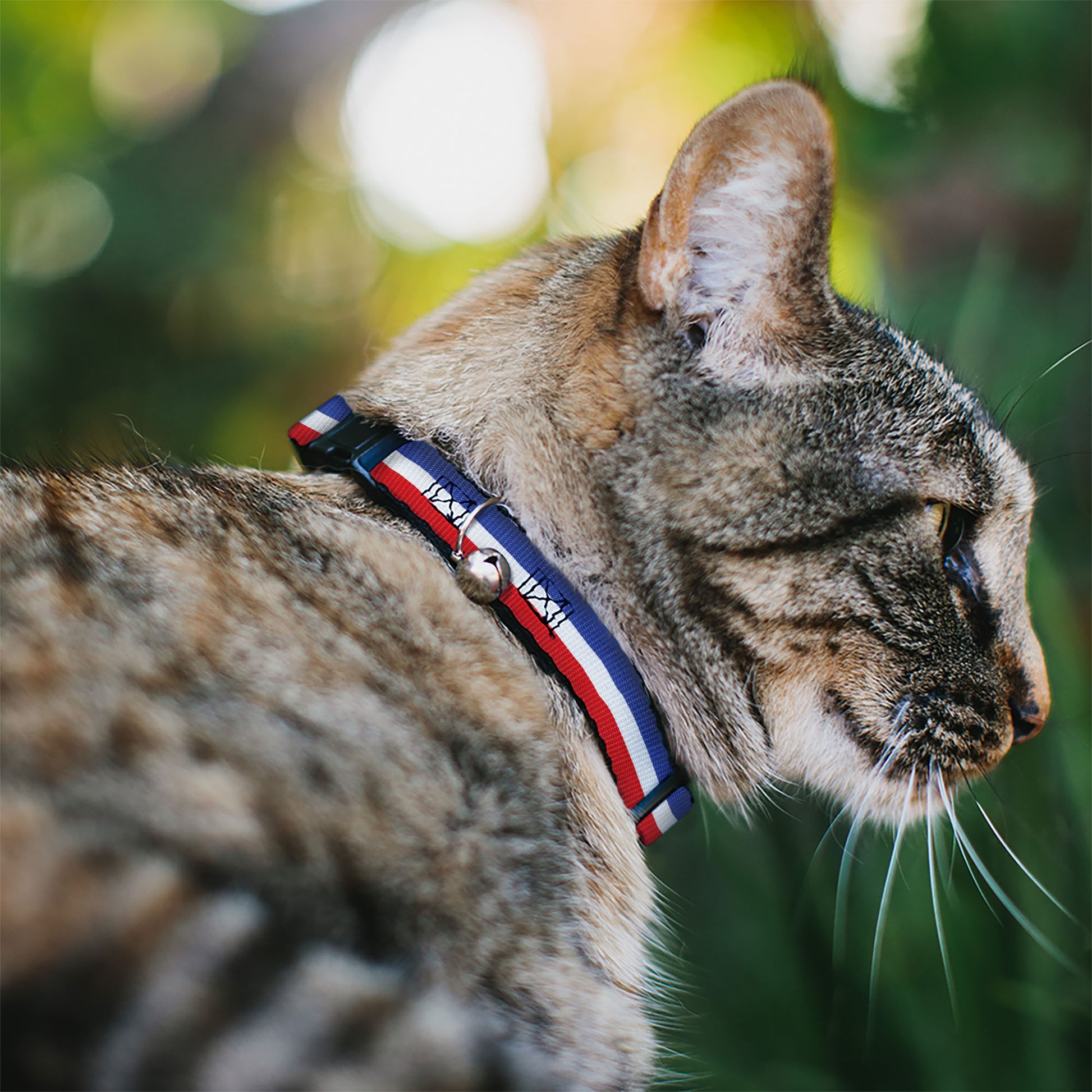 Cat Collar Breakaway - Stripes Blue White Red Breakaway Cat Collars Buckle-Down