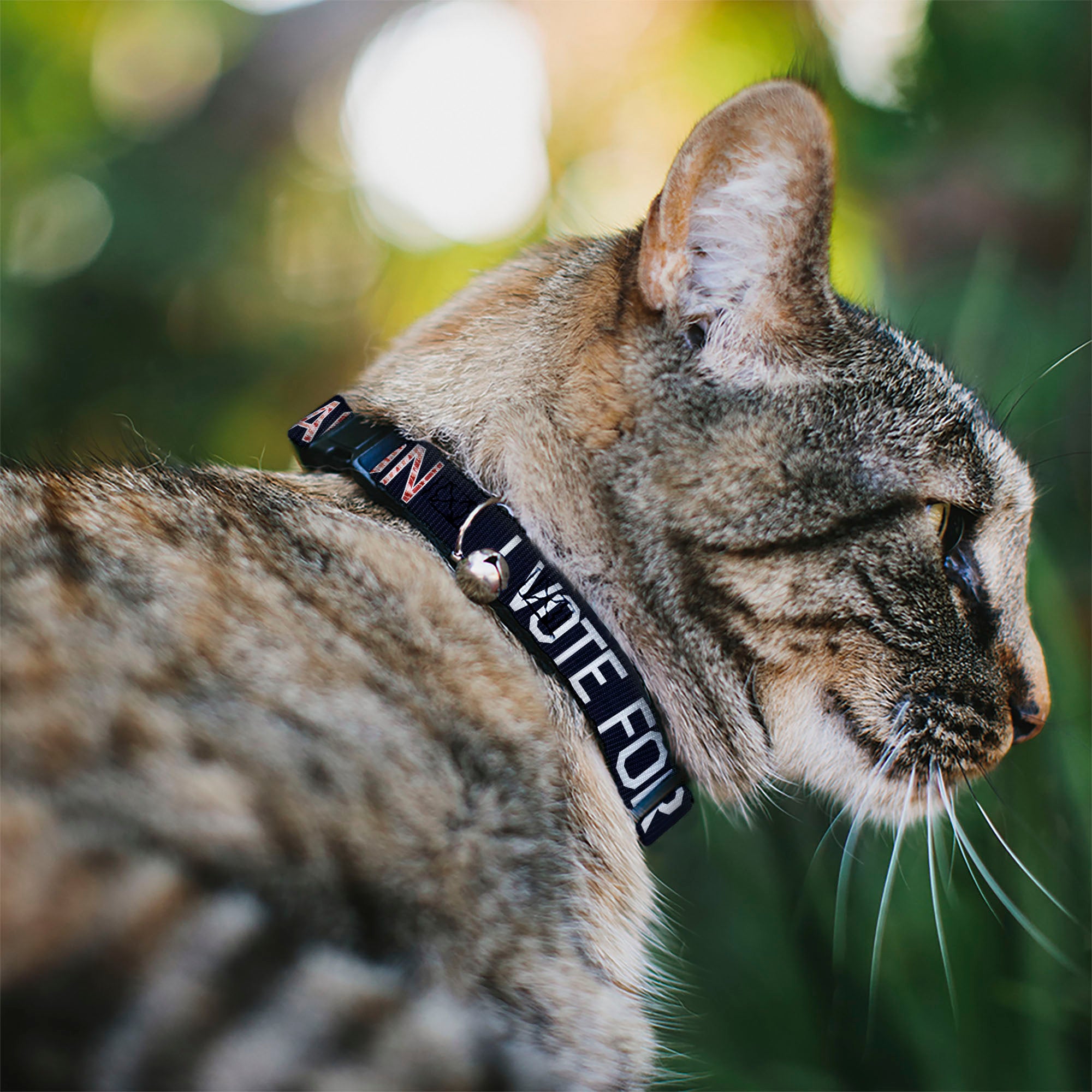 Cat Collar Breakaway - VOTE FOR BACON Black White Bacon Breakaway Cat Collars Buckle-Down