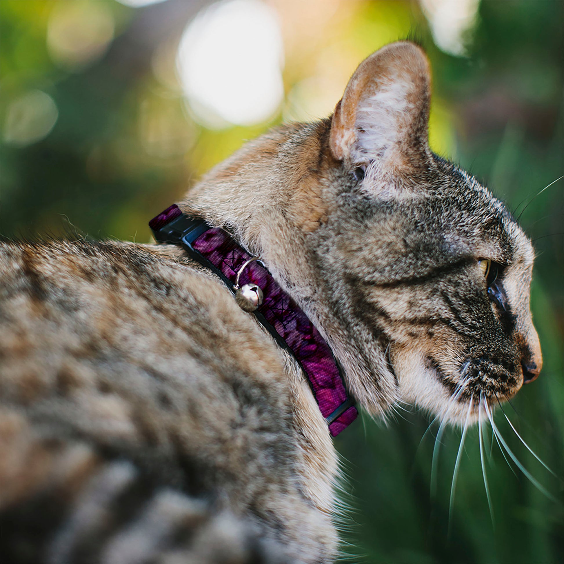 Cat Collar Breakaway - Vivid Floral Collage Pinks Breakaway Cat Collars Buckle-Down