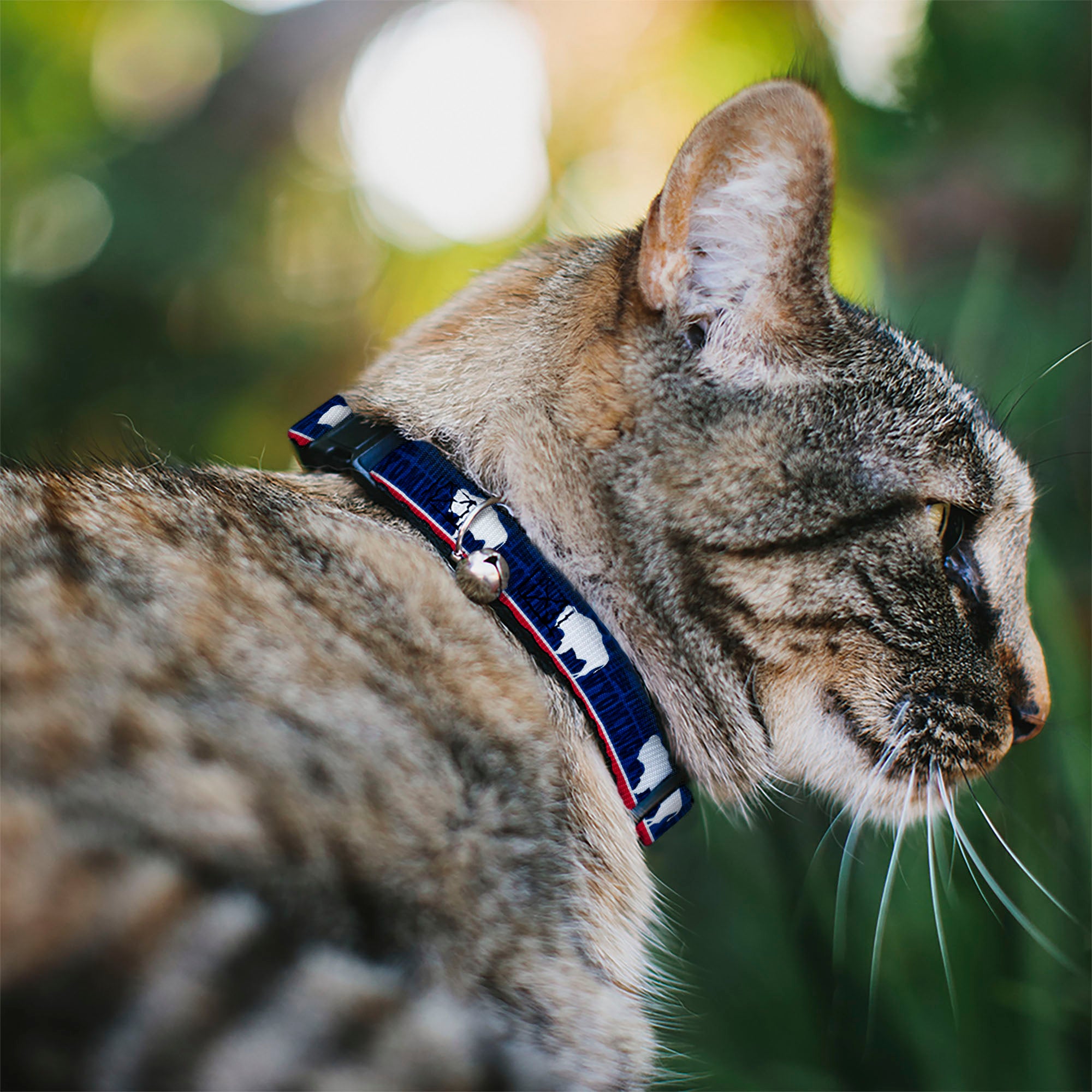 Cat Collar Breakaway - Wyoming Flags WYOMING Typography Breakaway Cat Collars Buckle-Down