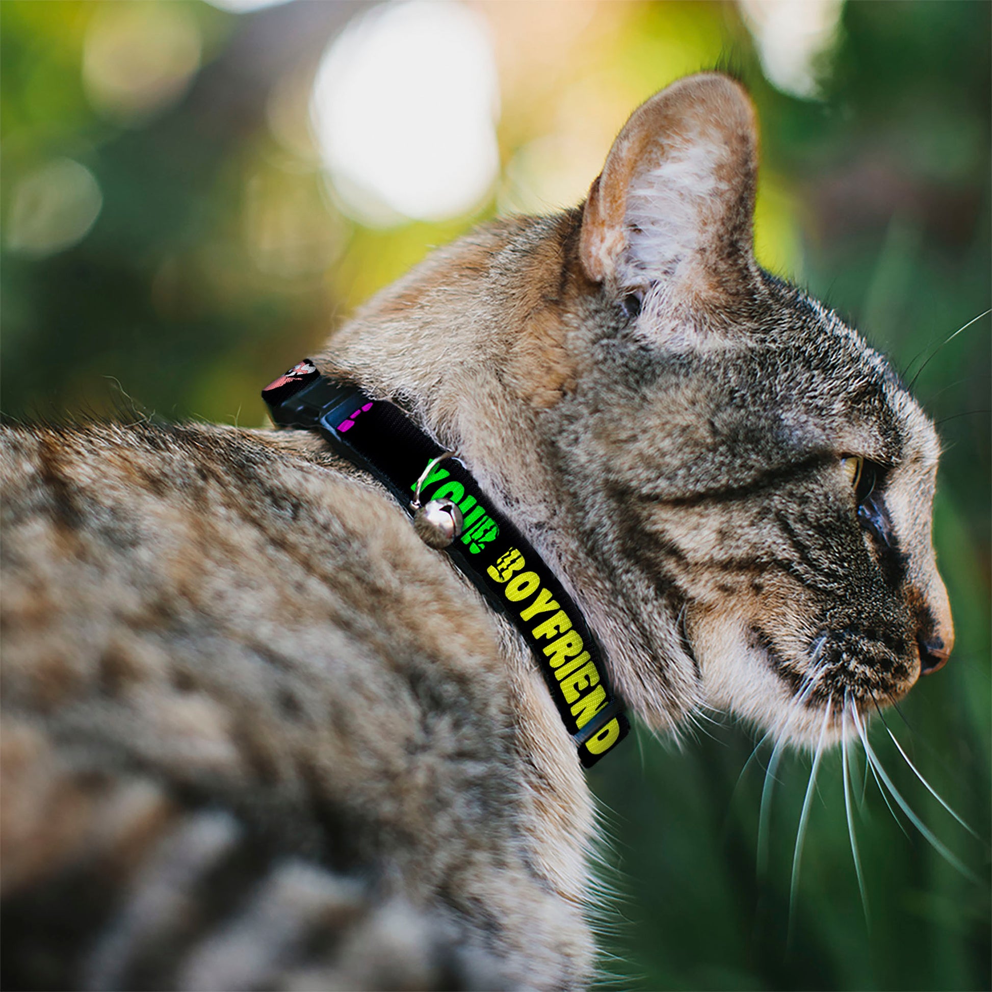 Cat Collar Breakaway - YOUR BOYFRIEND LOVES ME w Kiss Black Neon Breakaway Cat Collars Buckle-Down