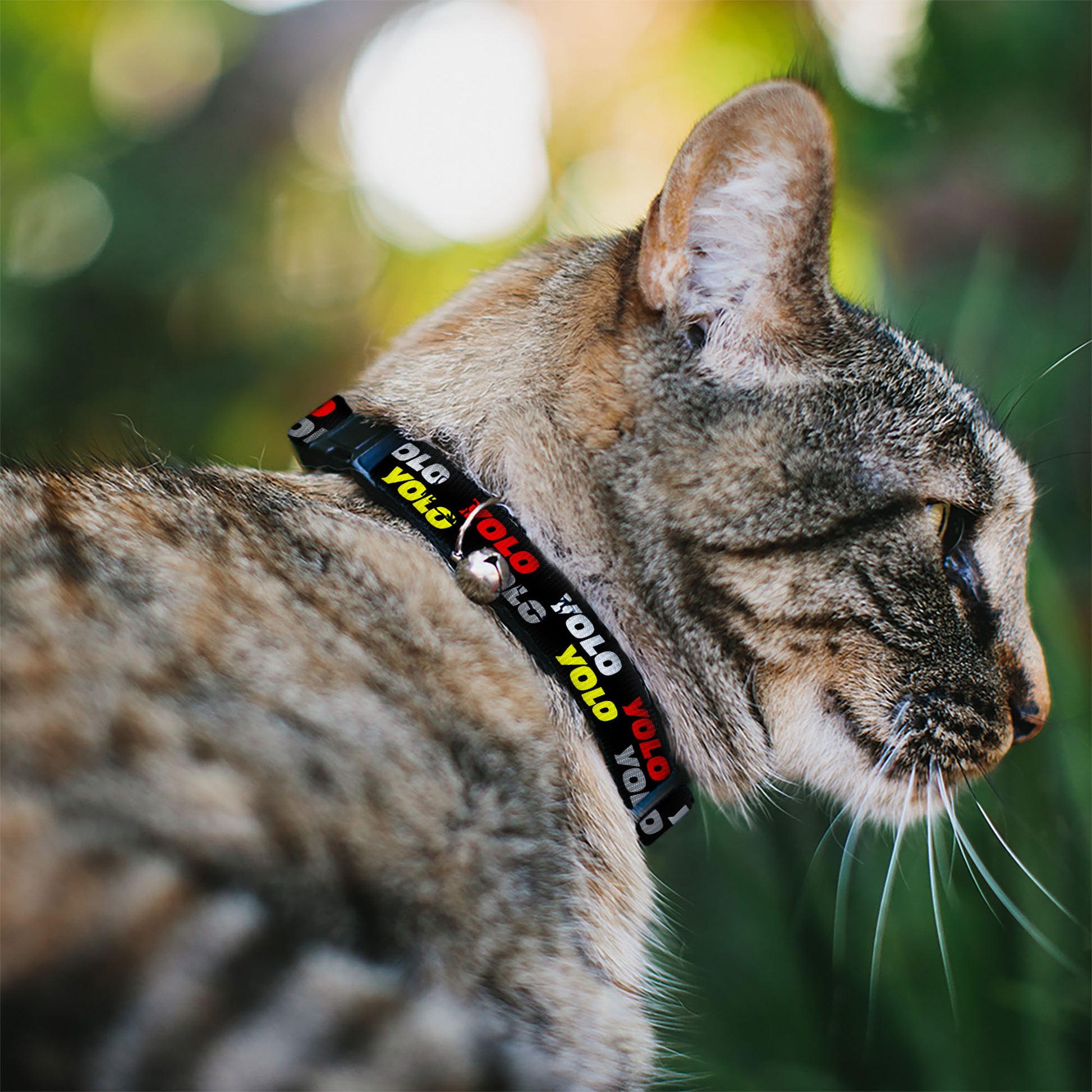 Cat Collar Breakaway - YOLO Diagonal Black Gray White Breakaway Cat Collars Buckle-Down