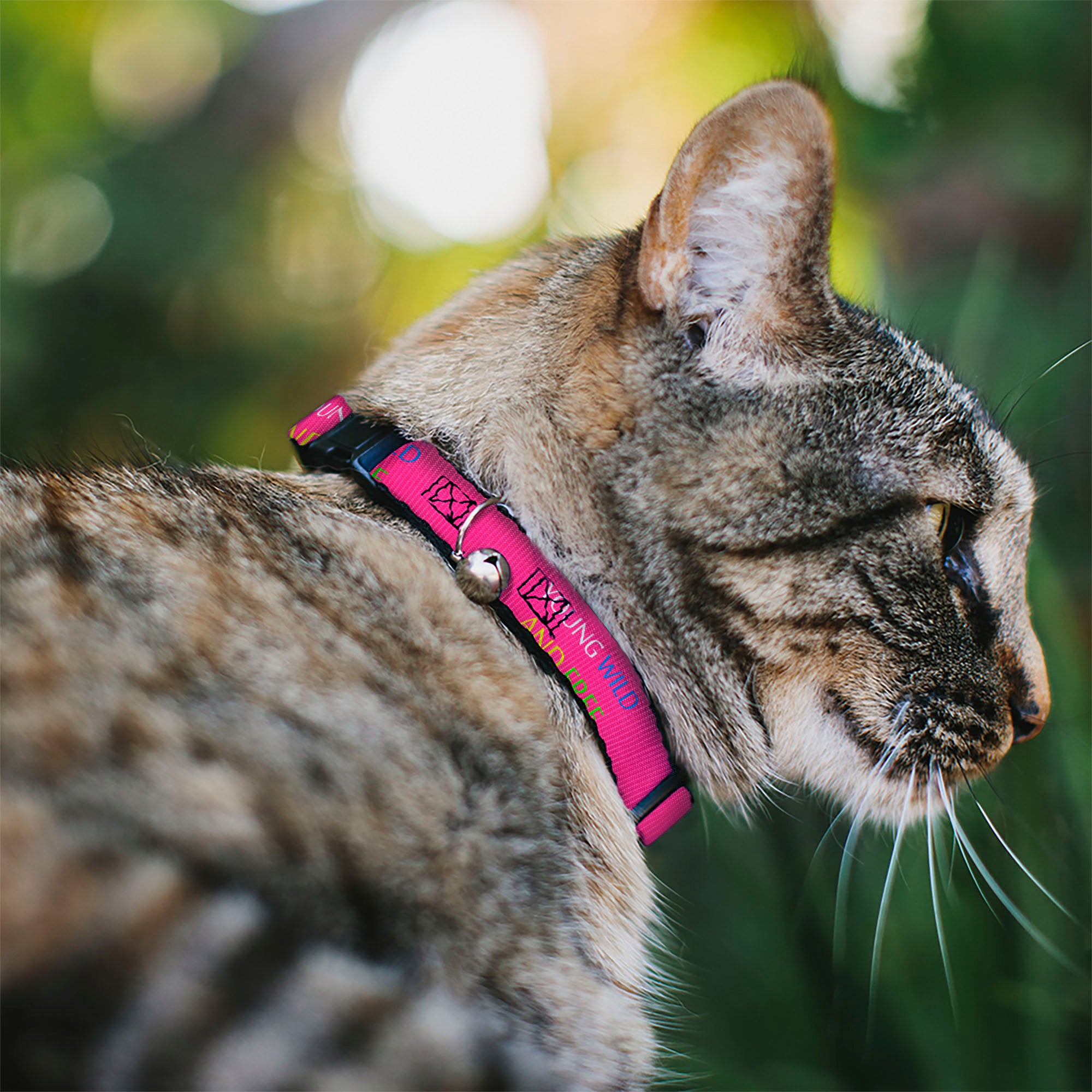 Cat Collar Breakaway - YOUNG WILD AND FREE Pink White Blue Yellow Green Breakaway Cat Collars Buckle-Down