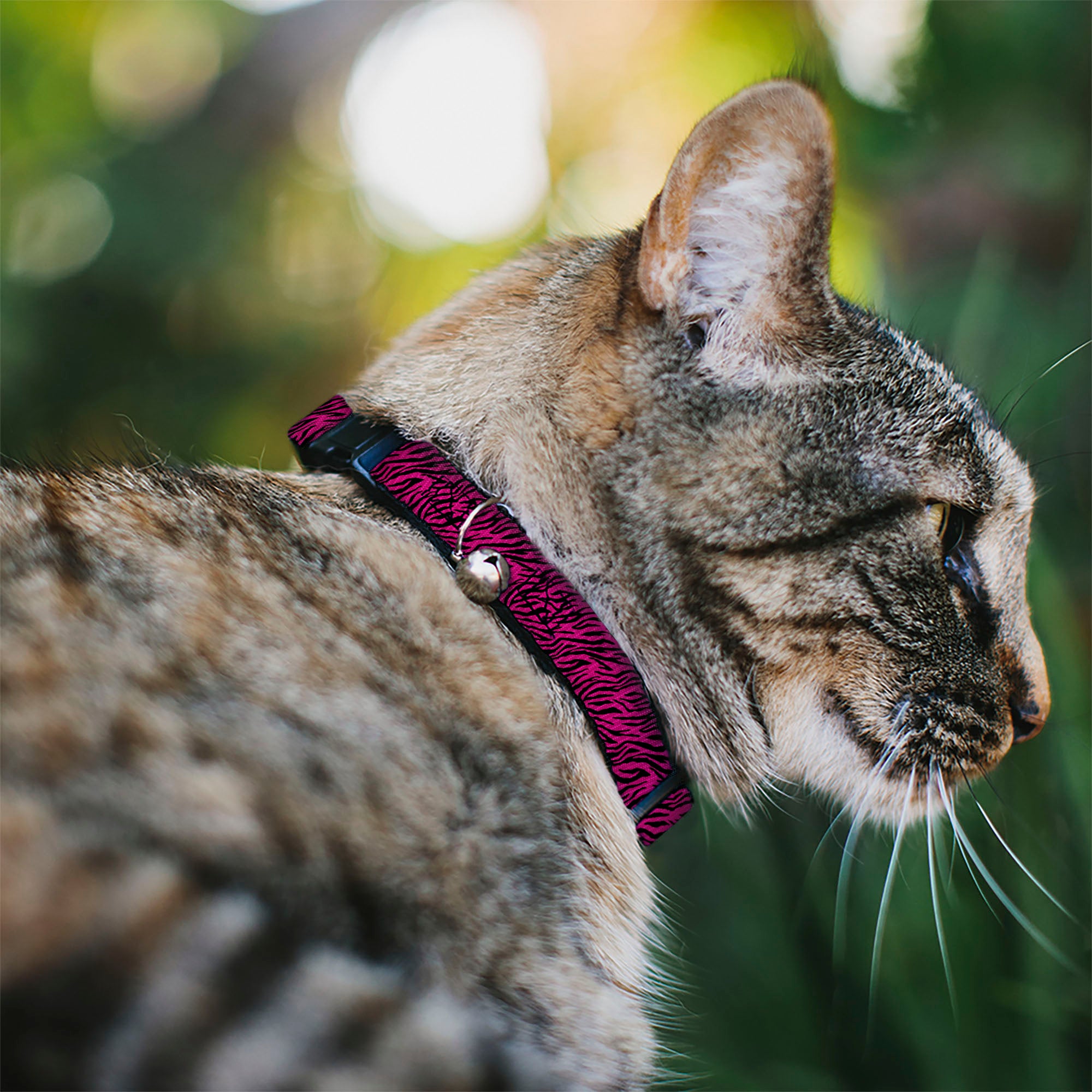 Cat Collar Breakaway - Zebra 2 Fuchsia Pink Breakaway Cat Collars Buckle-Down