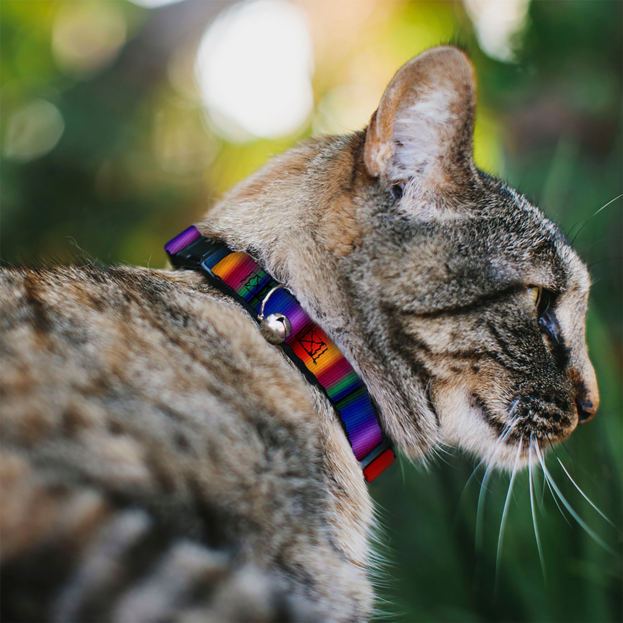 Cat Collar Breakaway - Zarape3 Vertical Multi Color Fade Breakaway Cat Collars Buckle-Down