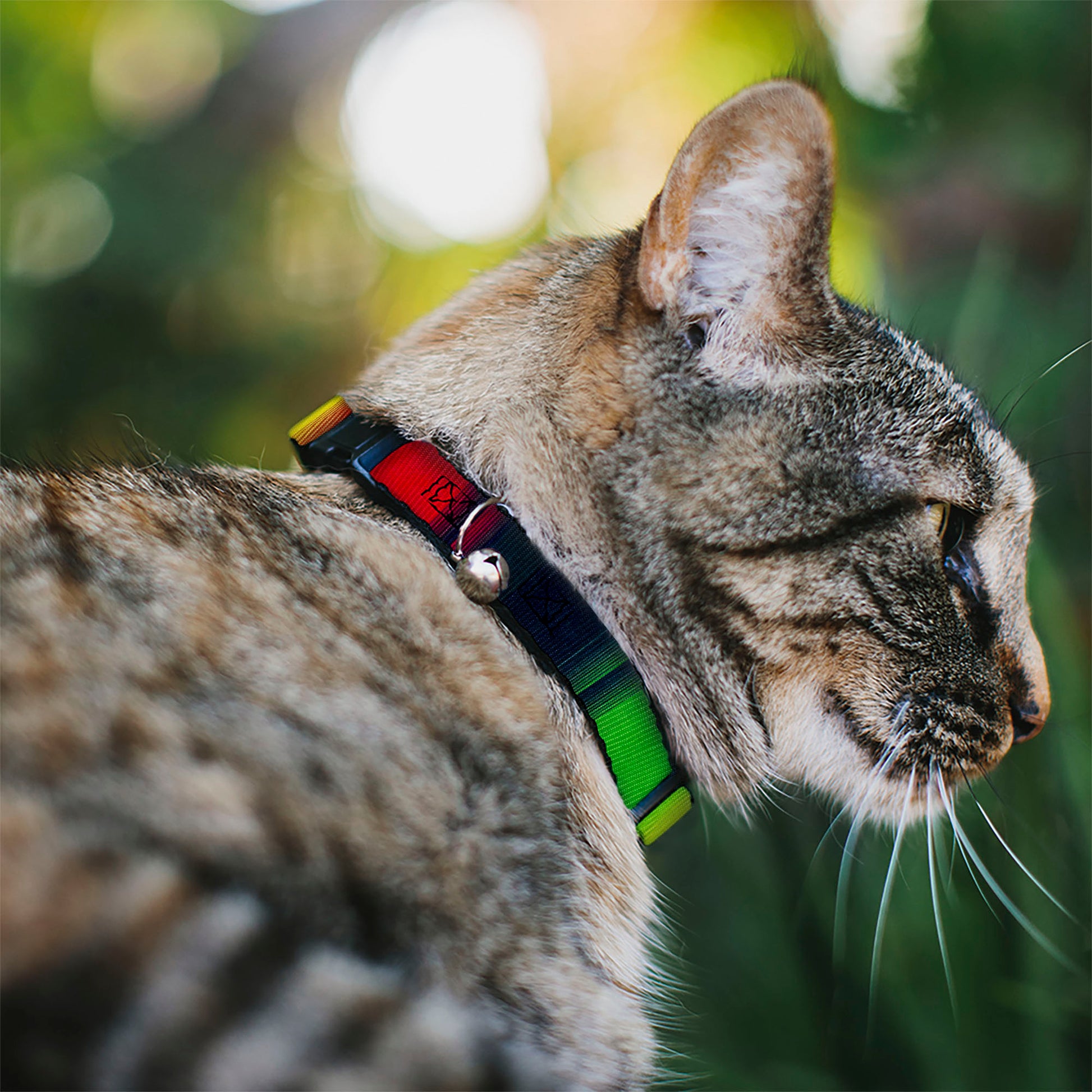 Cat Collar Breakaway - Zarape4 Vertical Rasta Breakaway Cat Collars Buckle-Down