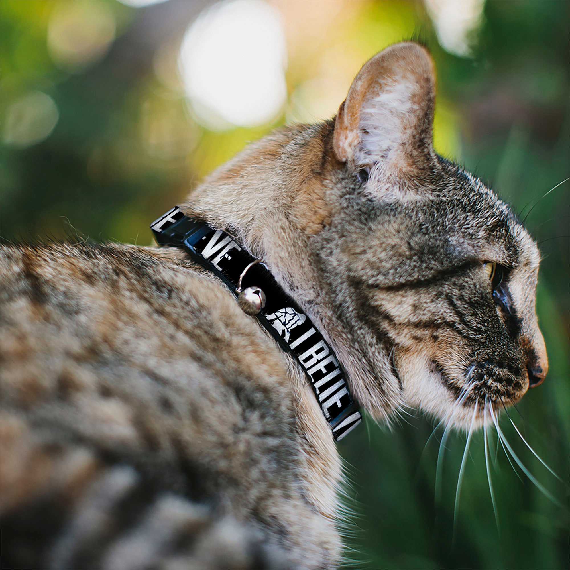 Cat Collar Breakaway - Bigfoot Silhouette I BELIEVE Black Gray White Breakaway Cat Collars Buckle-Down