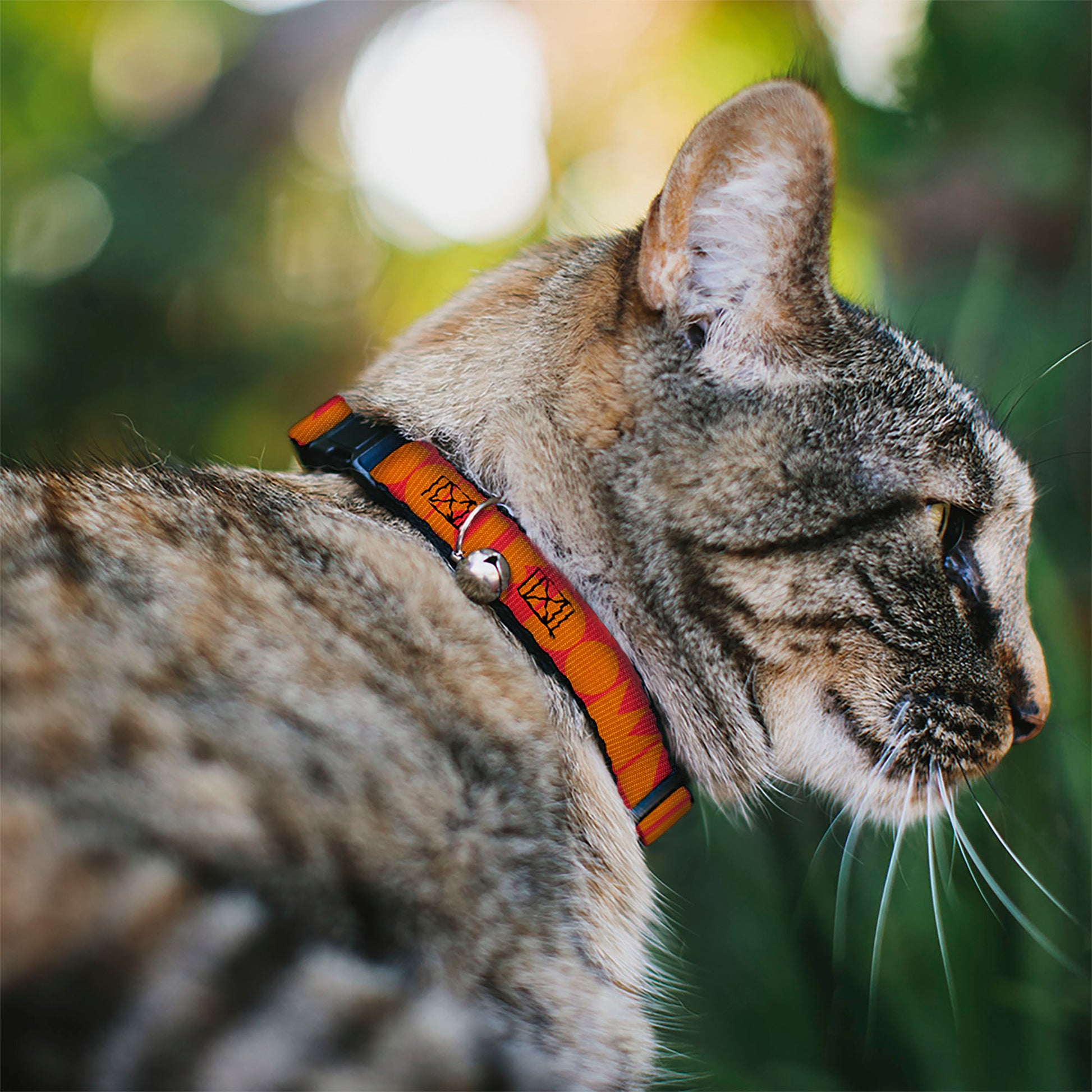Cat Collar Breakaway - BUCKLE-DOWN Shapes Red Orange Breakaway Cat Collars Buckle-Down