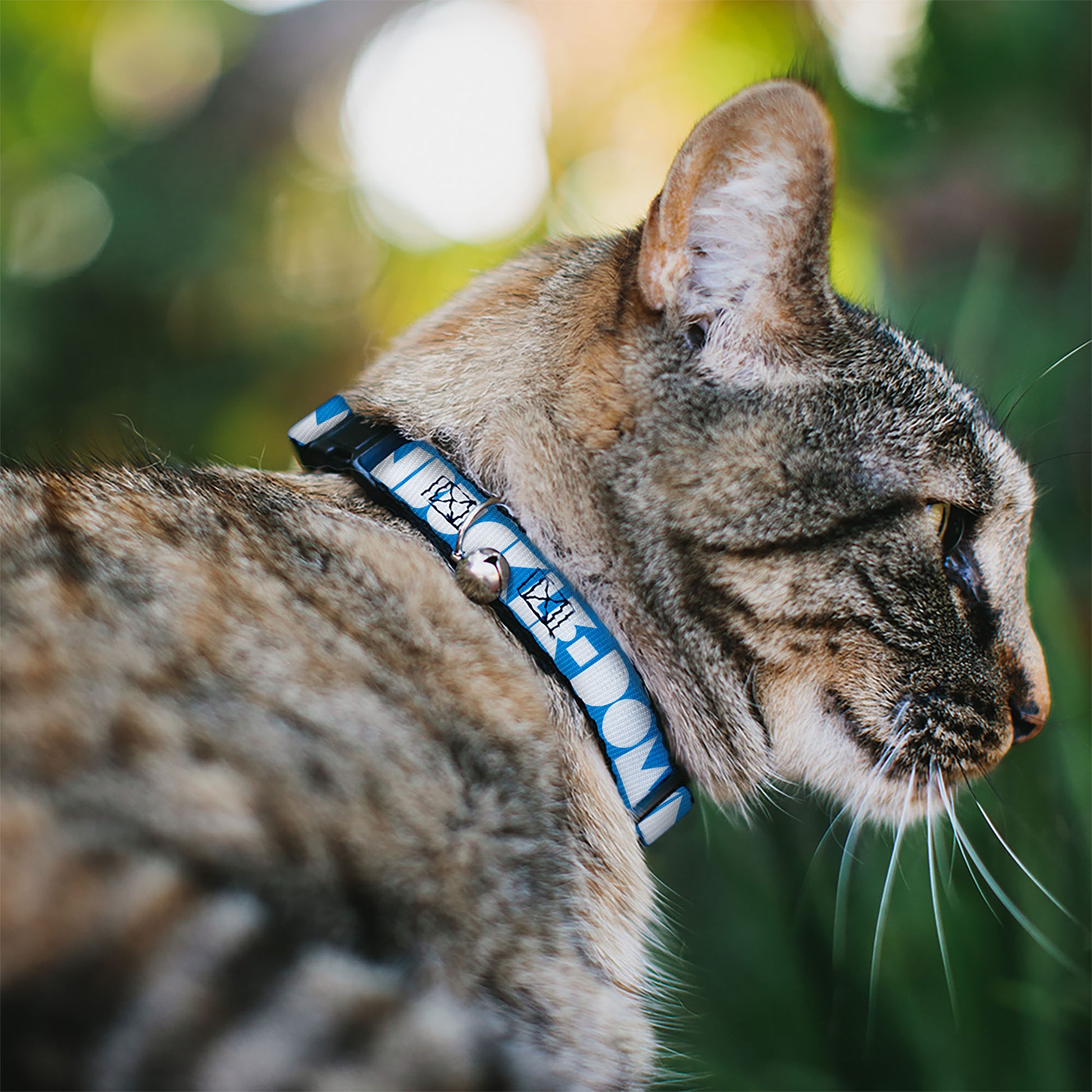 Cat Collar Breakaway - BUCKLE-DOWN Shapes Blue White Breakaway Cat Collars Buckle-Down
