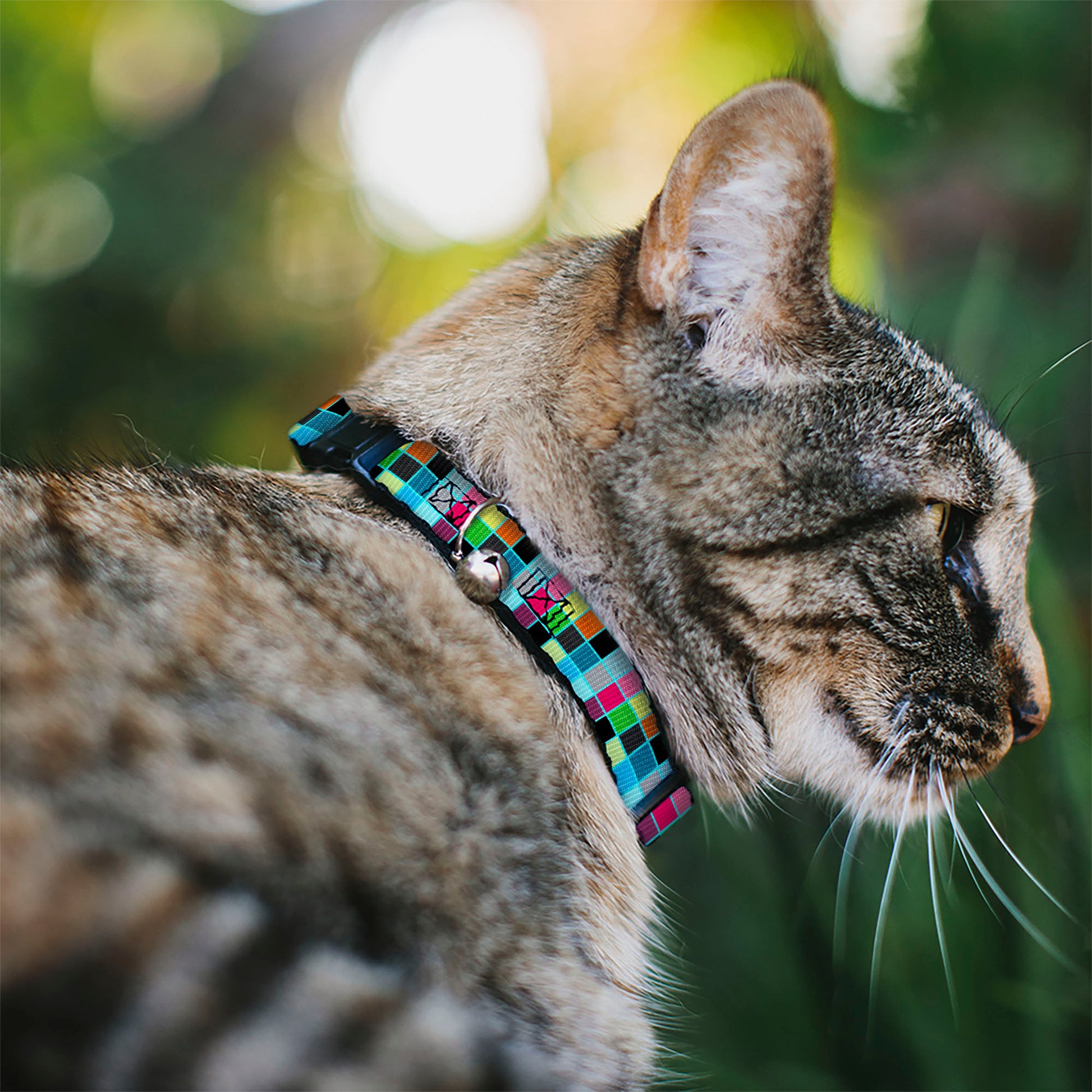 Cat Collar Breakaway - Checker Bright Pastel w Outline Breakaway Cat Collars Buckle-Down