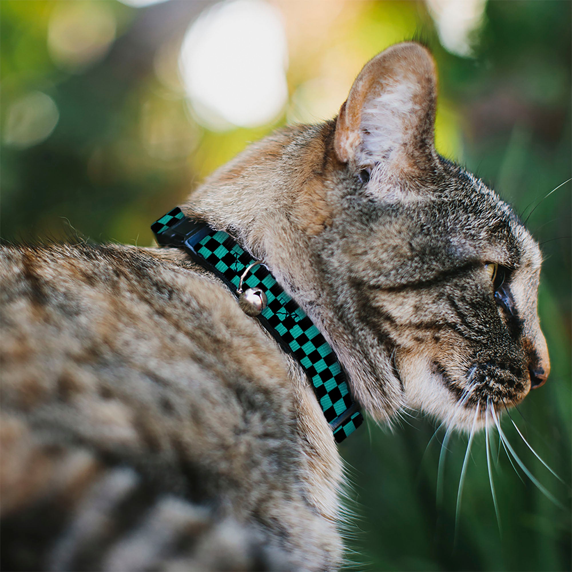 Cat Collar Breakaway - Checker Black Teal Breakaway Cat Collars Buckle-Down