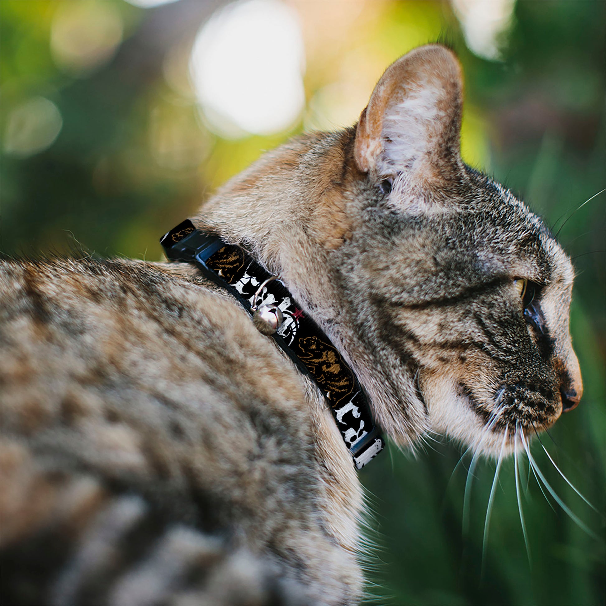 Cat Collar Breakaway - CALI w Grizzly Bear Breakaway Cat Collars Buckle-Down