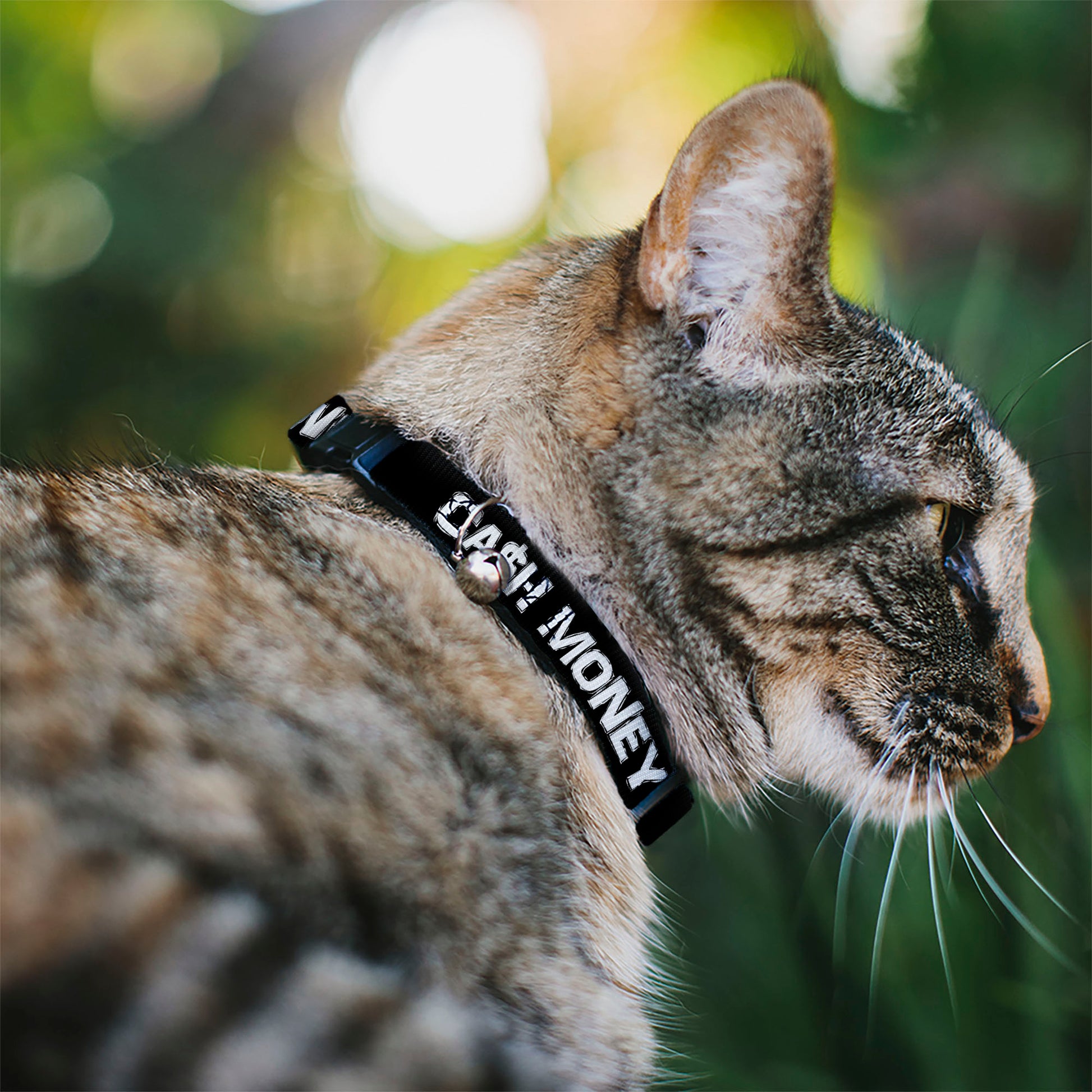 Cat Collar Breakaway - CA$H MONEY Black White Breakaway Cat Collars Buckle-Down