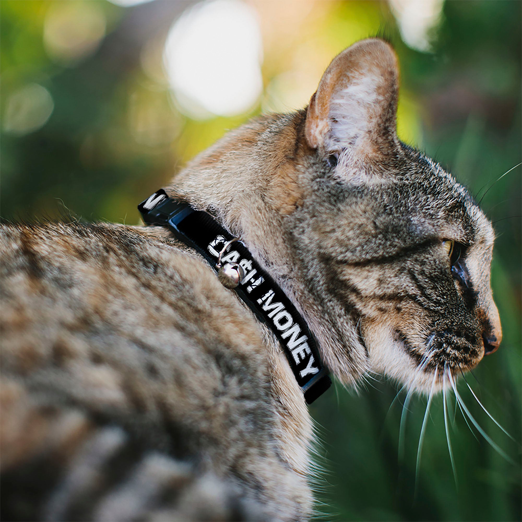 Cat Collar Breakaway - CA$H MONEY Black White Breakaway Cat Collars Buckle-Down
