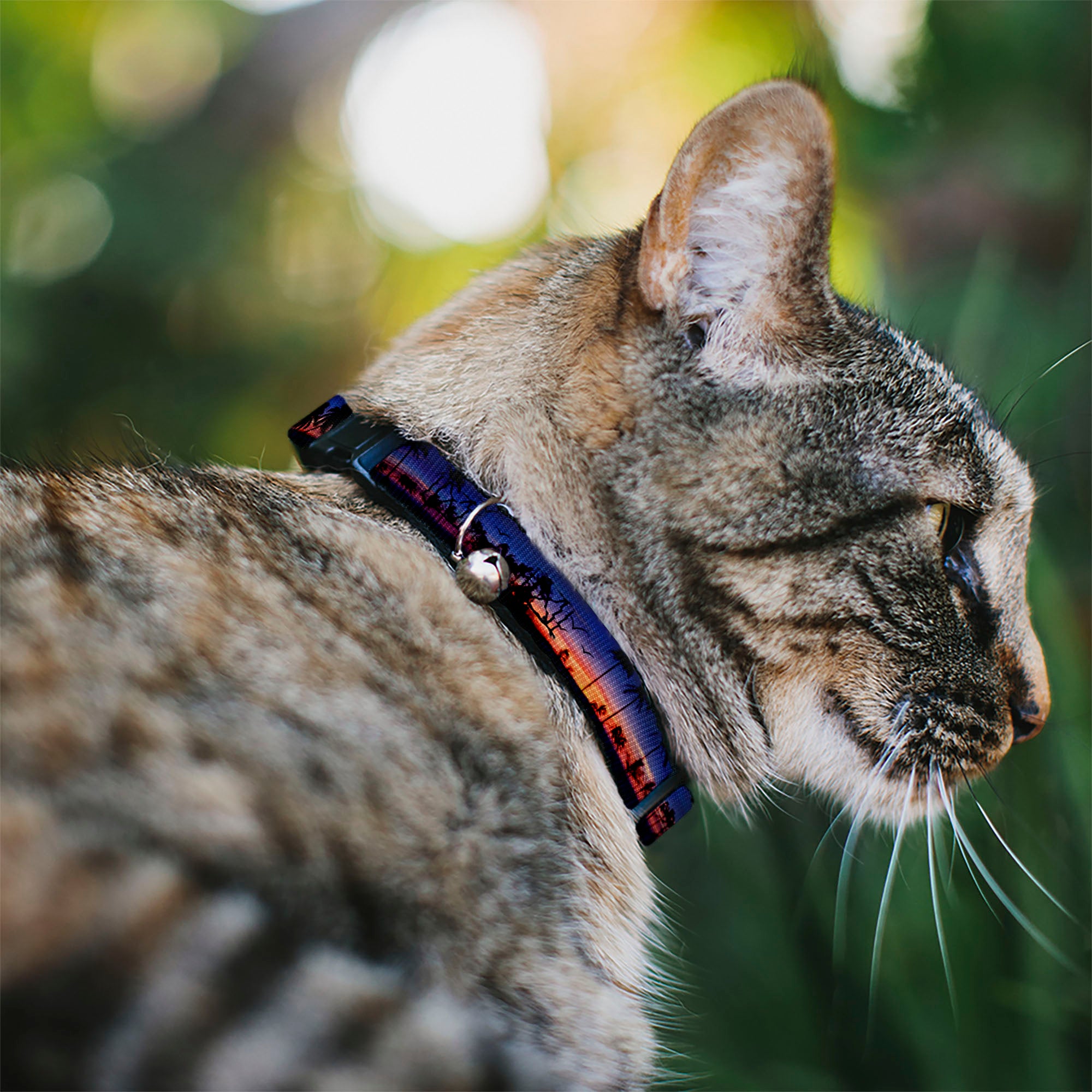 Cat Collar Breakaway - California Sunset Breakaway Cat Collars Buckle-Down