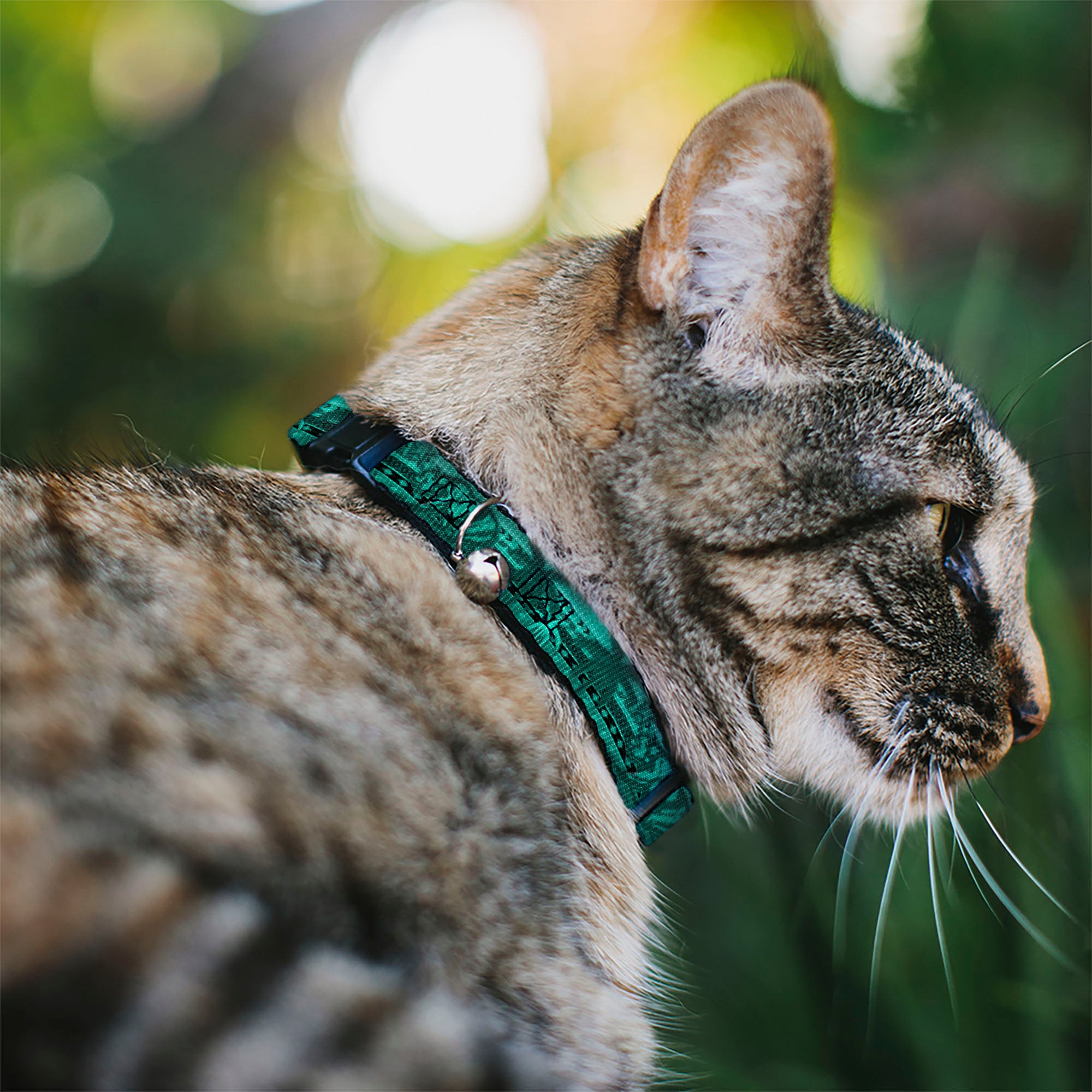Cat Collar Breakaway - Cali Bear Palm Trees Geometric Green Breakaway Cat Collars Buckle-Down