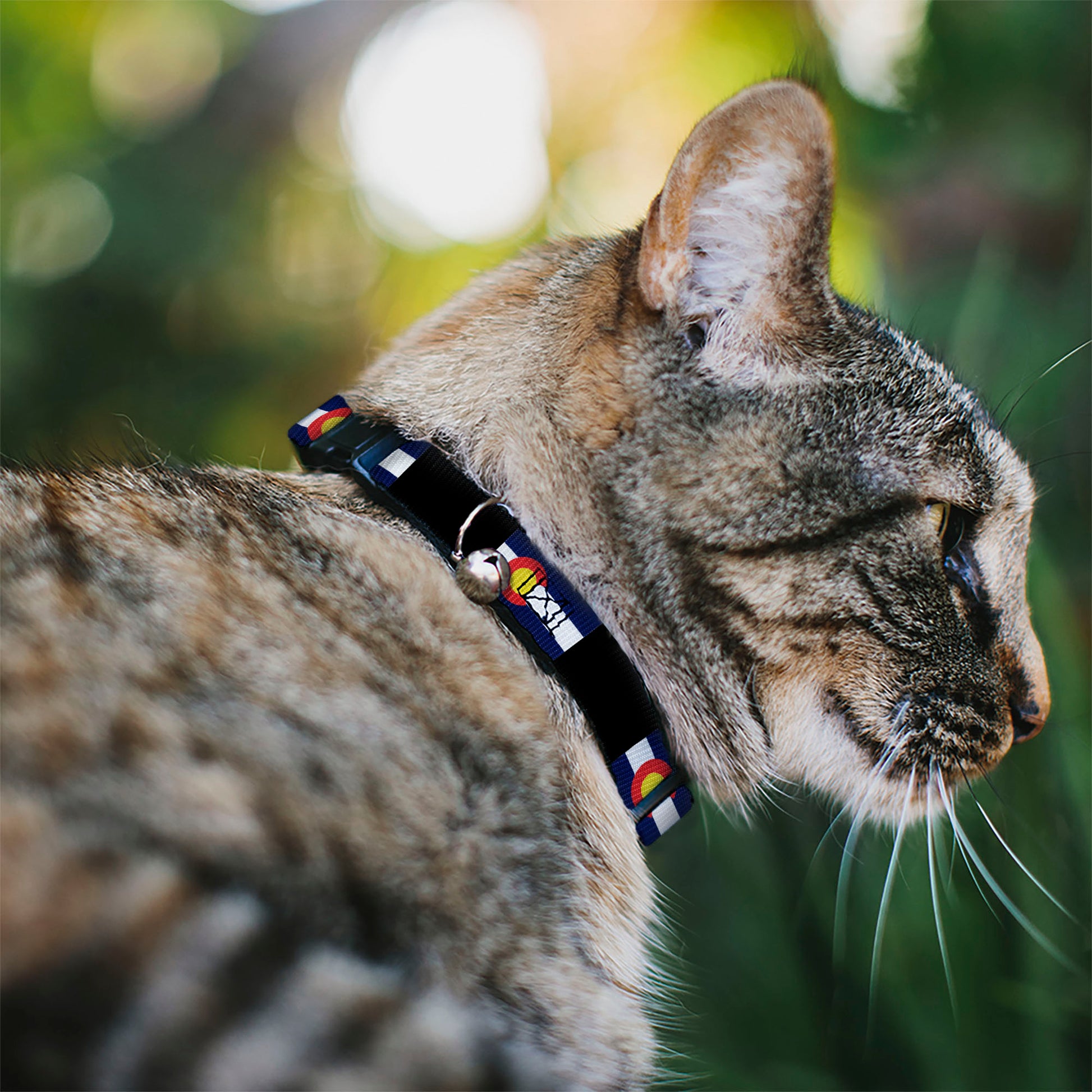 Cat Collar Breakaway - Colorado Flags3 Black Breakaway Cat Collars Buckle-Down