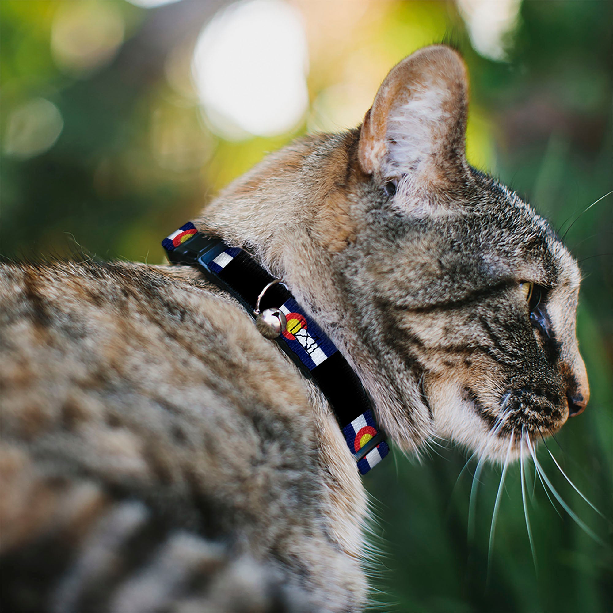 Cat Collar Breakaway - Colorado Flags3 Black Breakaway Cat Collars Buckle-Down