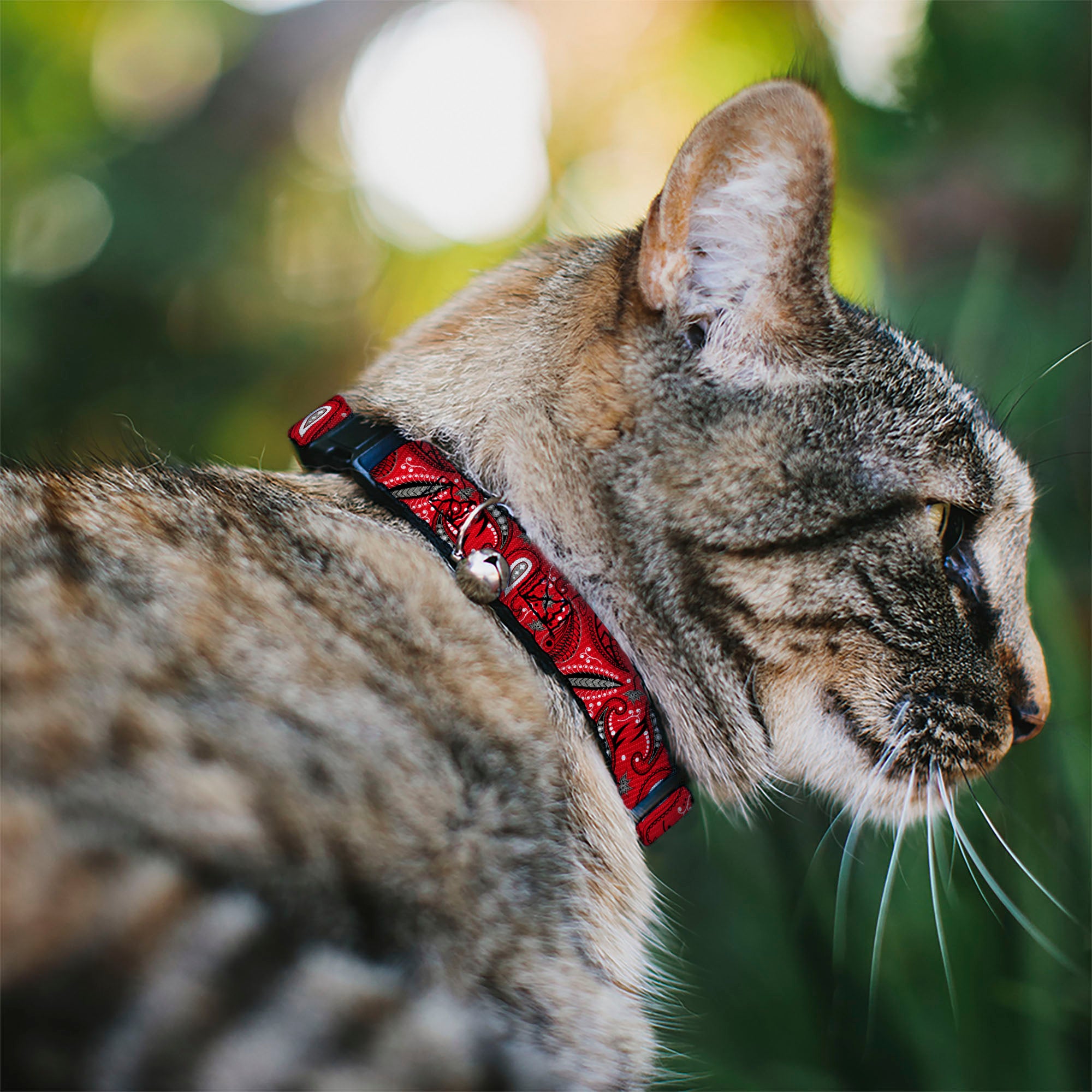 Cat Collar Breakaway - Floral Paisley3 Red Black Gray White Breakaway Cat Collars Buckle-Down