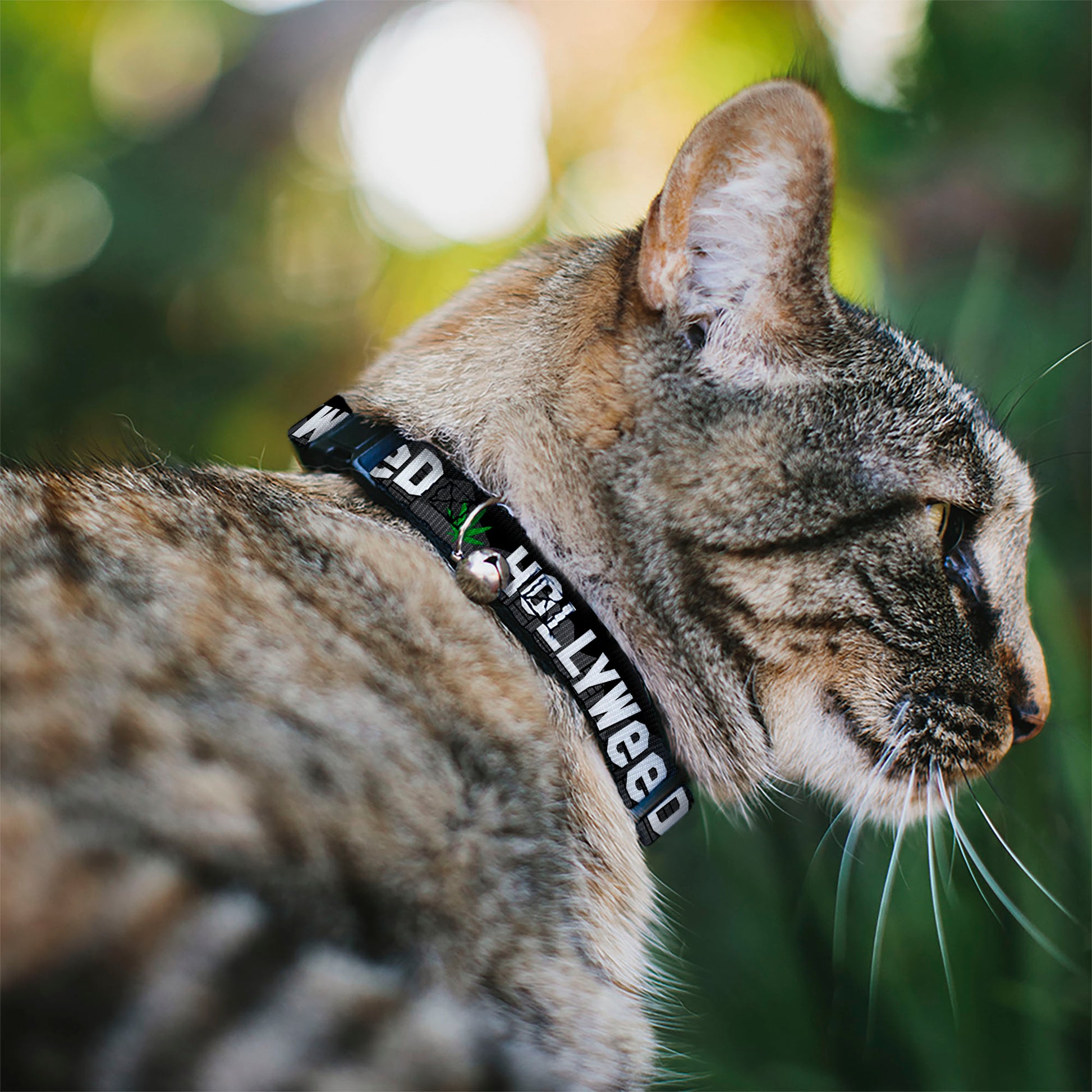 Cat Collar Breakaway - HOLLYWEED Sign Skyline Pot Leaf Black Grays White Green Breakaway Cat Collars Buckle-Down