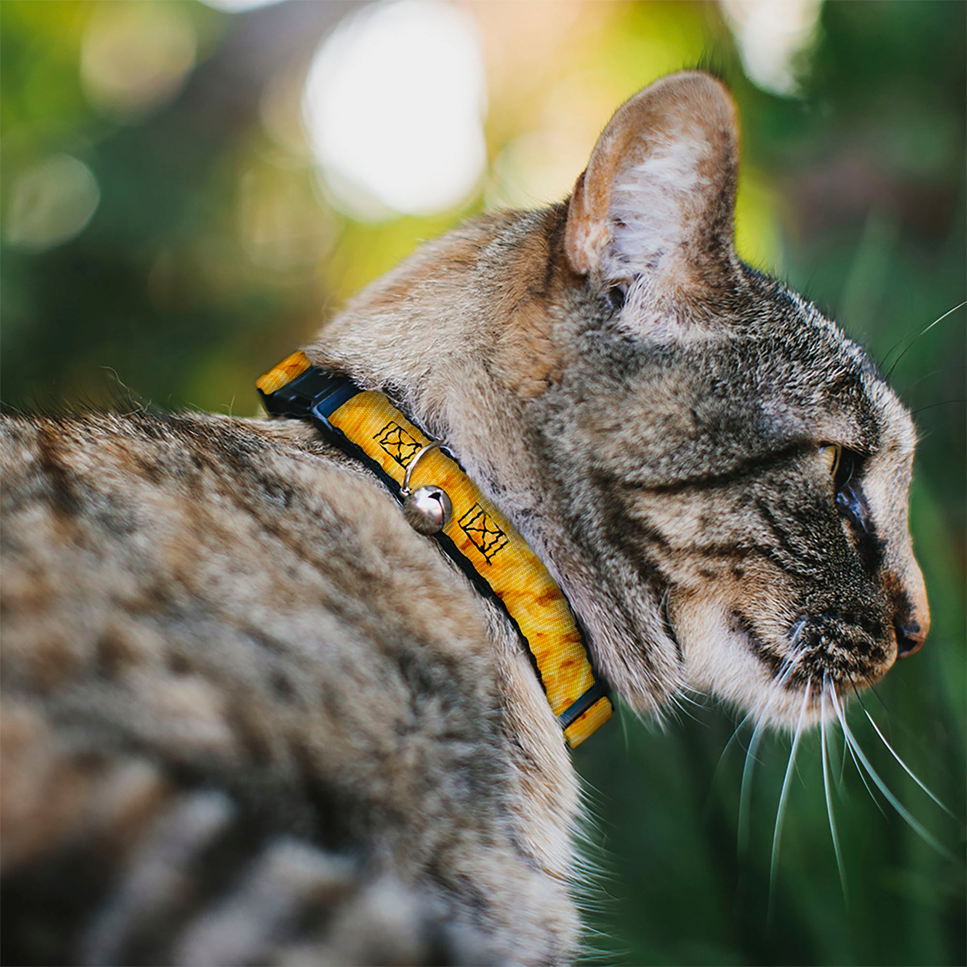 Cat Collar Breakaway - Mac & Cheese Vivid Breakaway Cat Collars Buckle-Down