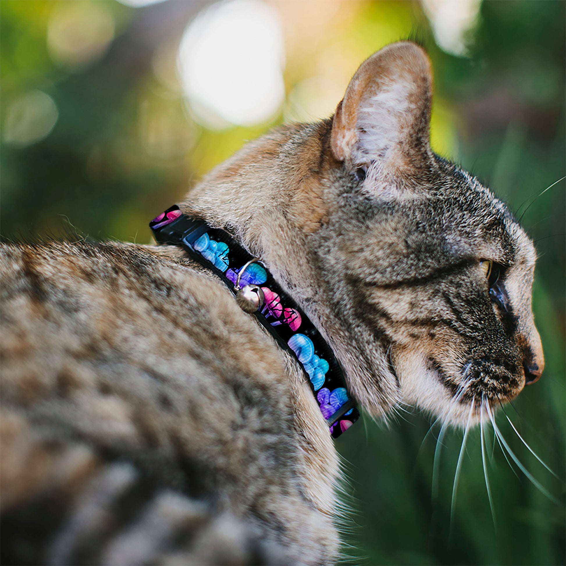 Cat Collar Breakaway with Bell - Mushroom Glow Black Multi Color Breakaway Cat Collars Buckle-Down
