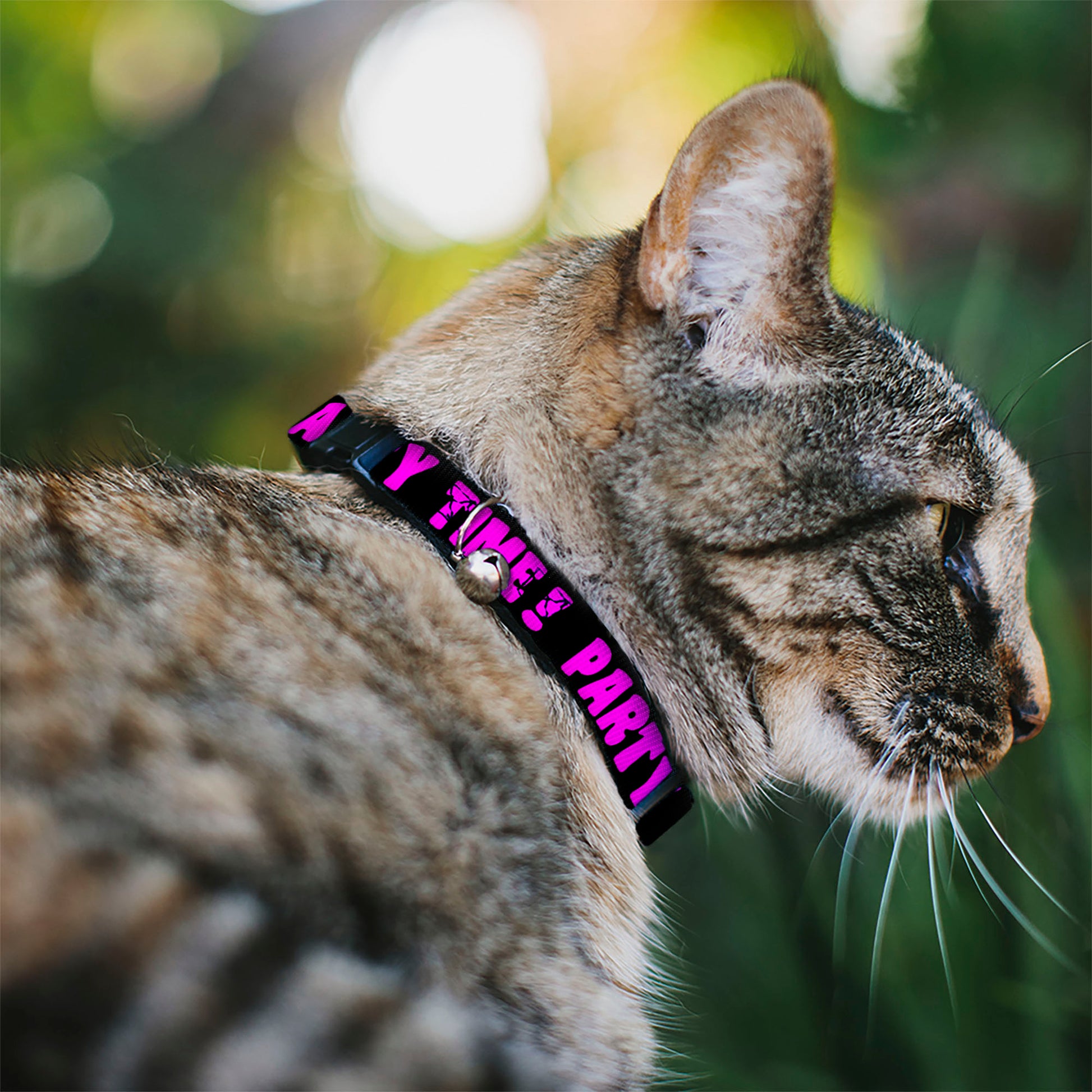 Cat Collar Breakaway - PARTY TIME! Black Fuchsia Breakaway Cat Collars Buckle-Down