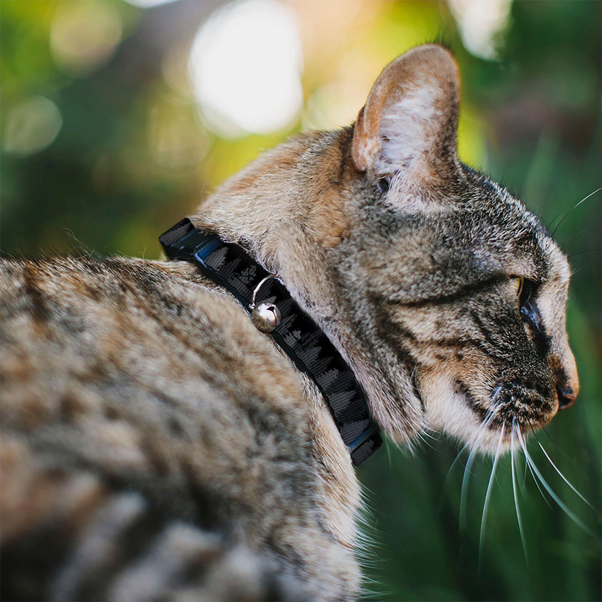 Cat Collar Breakaway - Pine Tree Silhouettes Black Grays Breakaway Cat Collars Buckle-Down