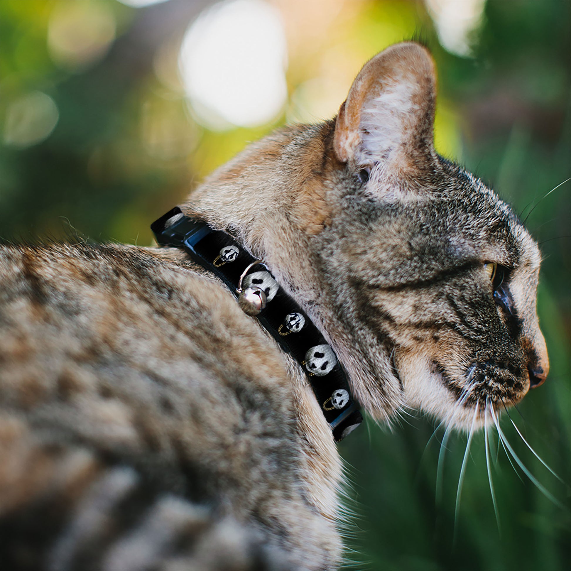 Cat Collar Breakaway - Panda w Gold Chain Black Breakaway Cat Collars Buckle-Down