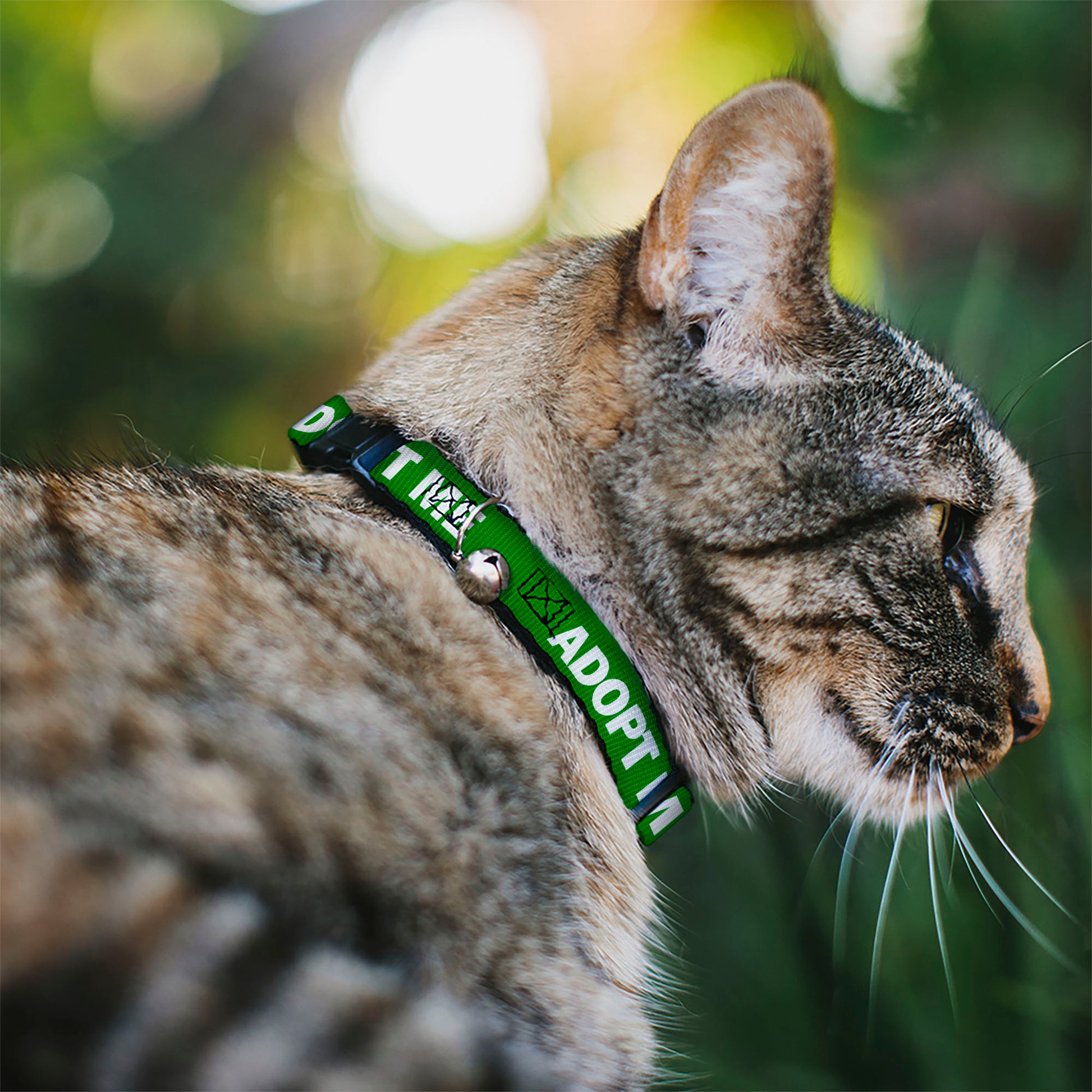 Cat Collar Breakaway - Pet Quote ADOPT ME Green White Breakaway Cat Collars Buckle-Down