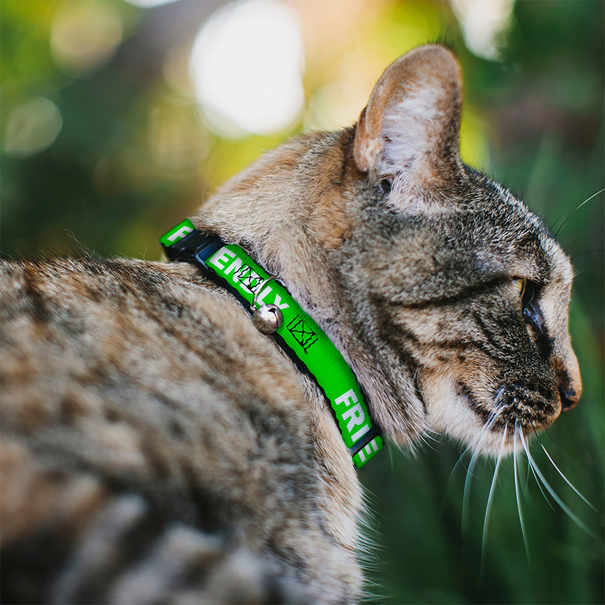 Cat Collar Breakaway - Pet Quote FRIENDLY Green White Breakaway Cat Collars Buckle-Down