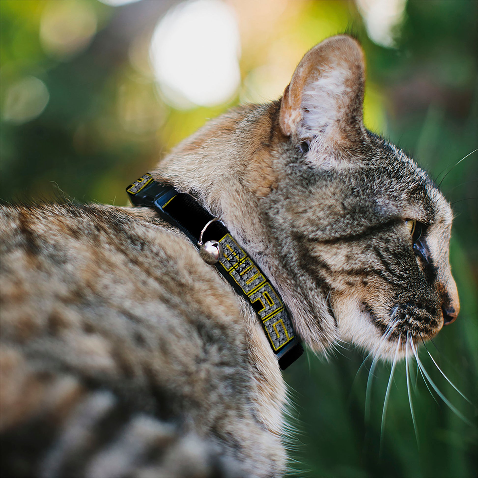 Cat Collar Breakaway - SWAG Black Bling Breakaway Cat Collars Buckle-Down