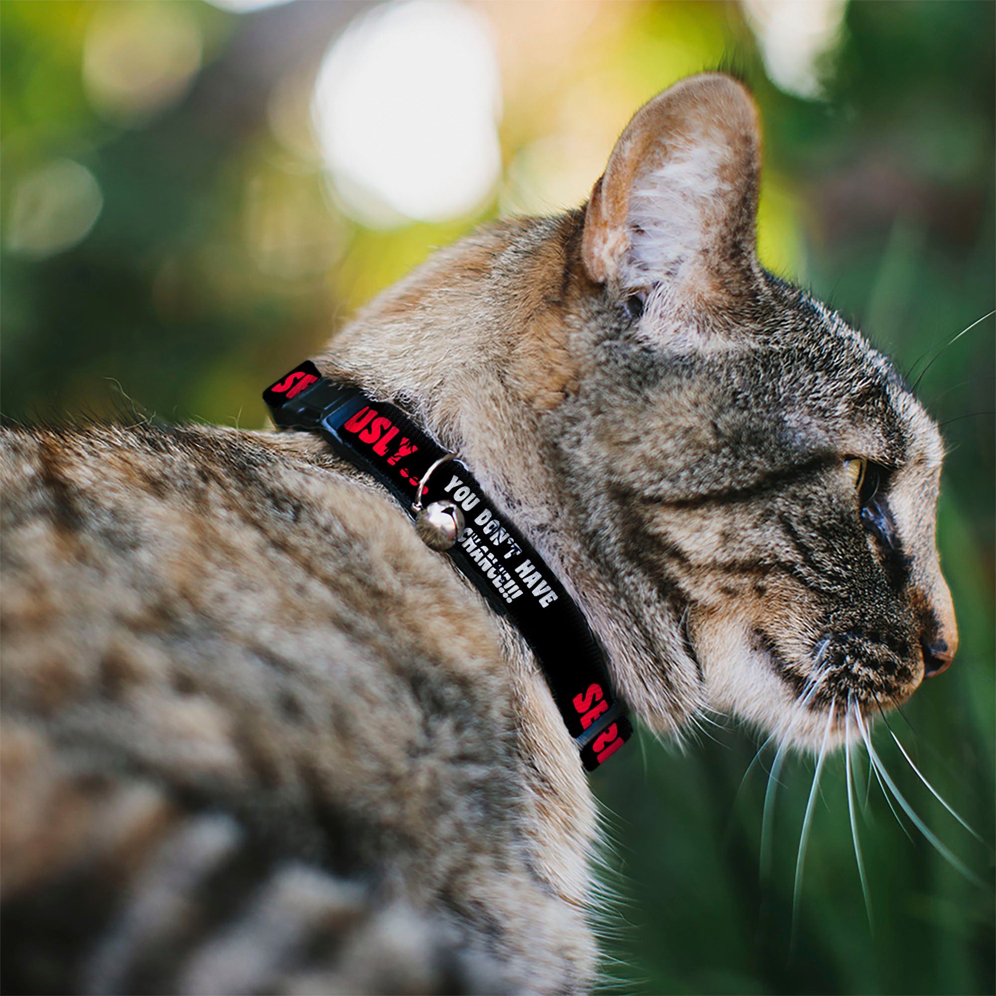 Cat Collar Breakaway - SERIOUSLY YOU DON'T HAVE A CHANCE Black Red White Breakaway Cat Collars Buckle-Down