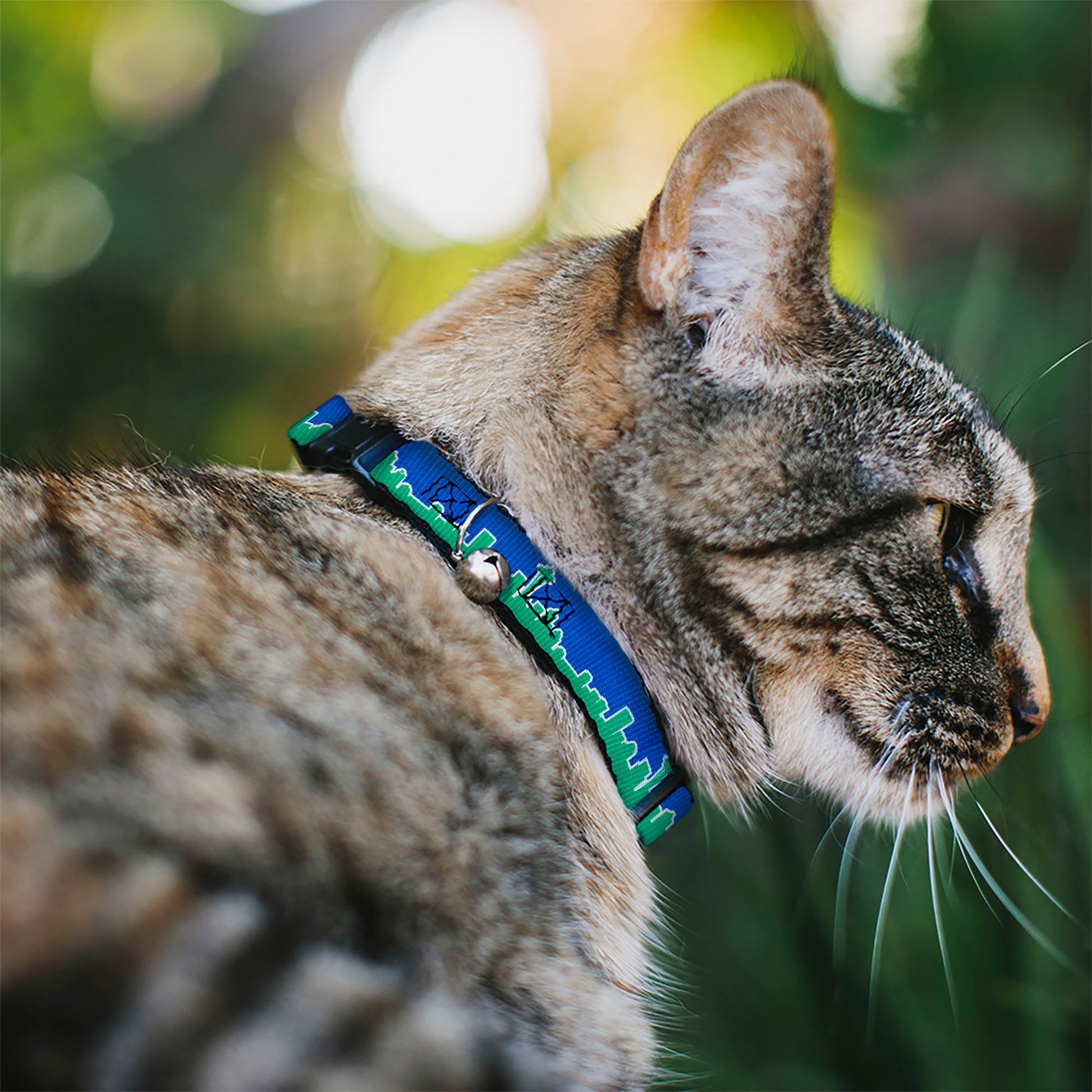 Cat Collar Breakaway - Seattle Skyline Blue Green Breakaway Cat Collars Buckle-Down