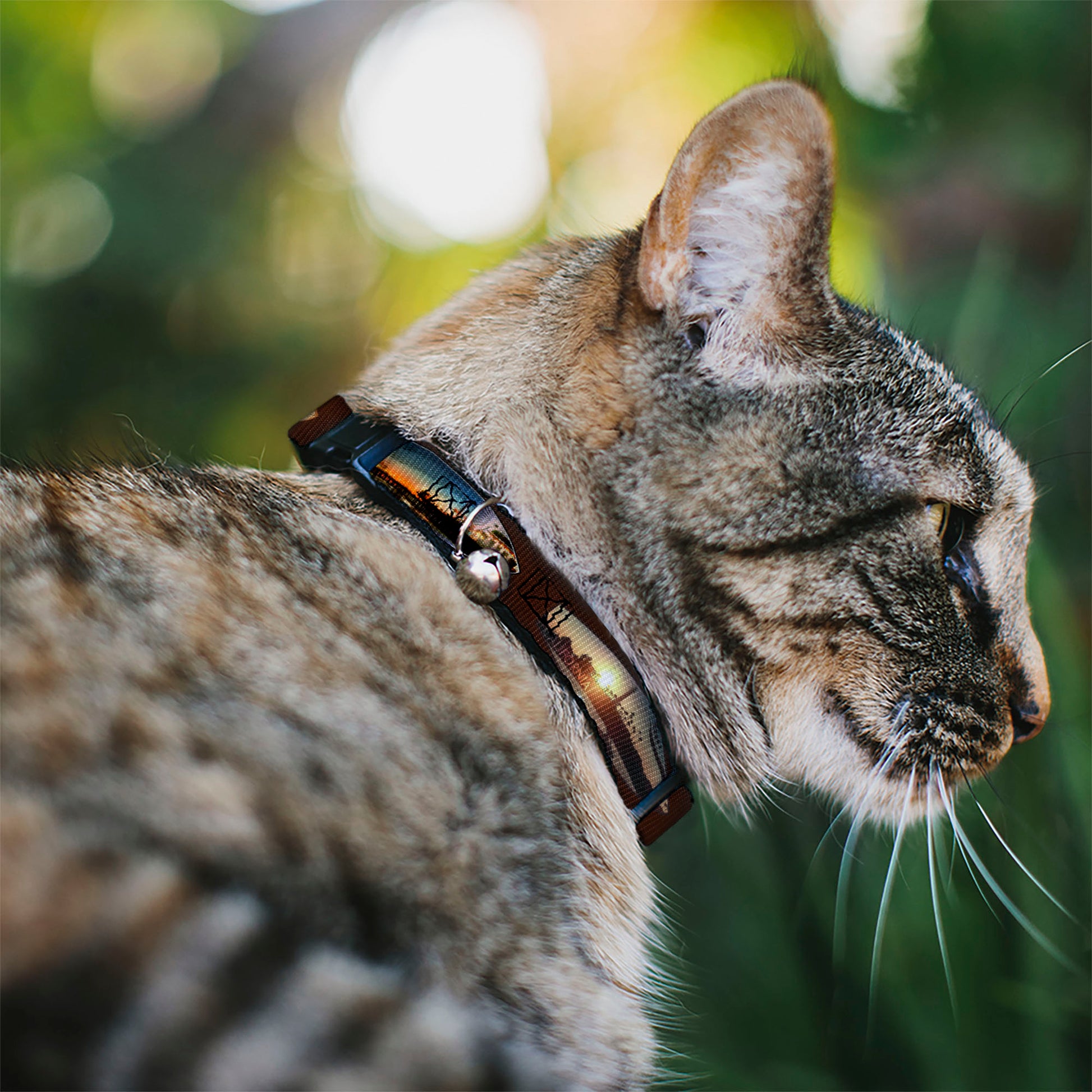 Cat Collar Breakaway - Surfboard Cali Scenes US Flag Brown Breakaway Cat Collars Buckle-Down