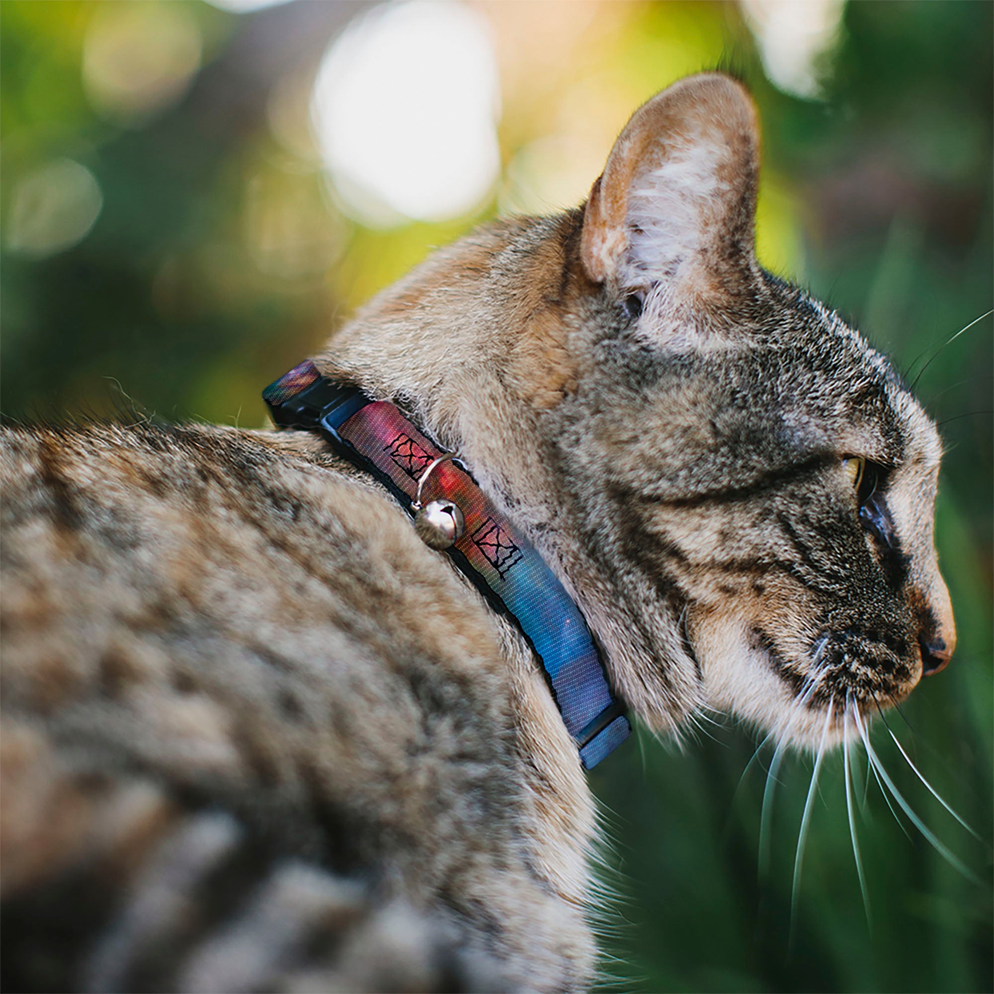 Cat Collar Breakaway - Supernova Space Collage Breakaway Cat Collars Buckle-Down