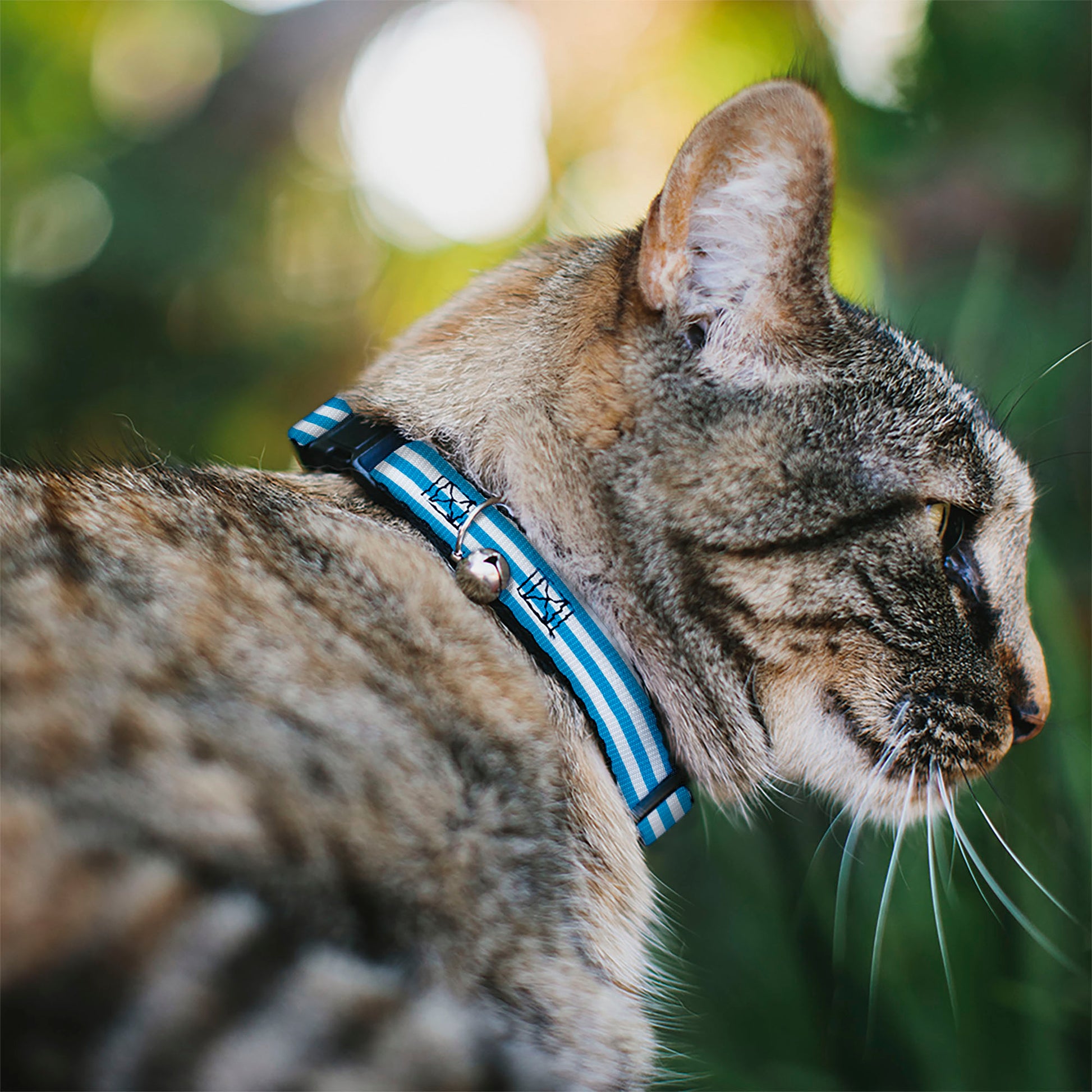 Cat Collar Breakaway - Triple Stripe White Blue Breakaway Cat Collars Buckle-Down