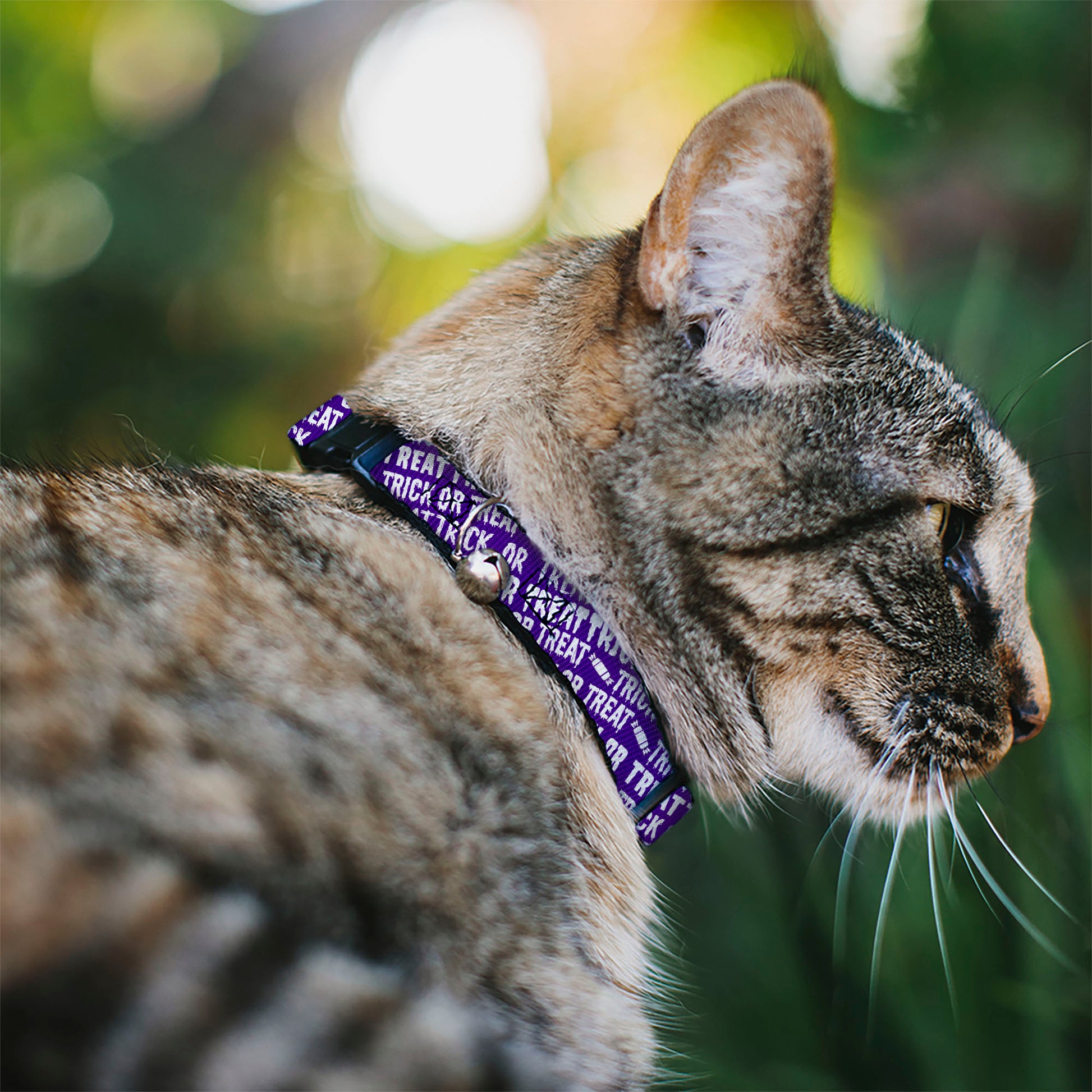 Breakaway Cat Collar with Bell - TRICK OR TREAT Text Collage Purple/White Breakaway Cat Collars Buckle-Down