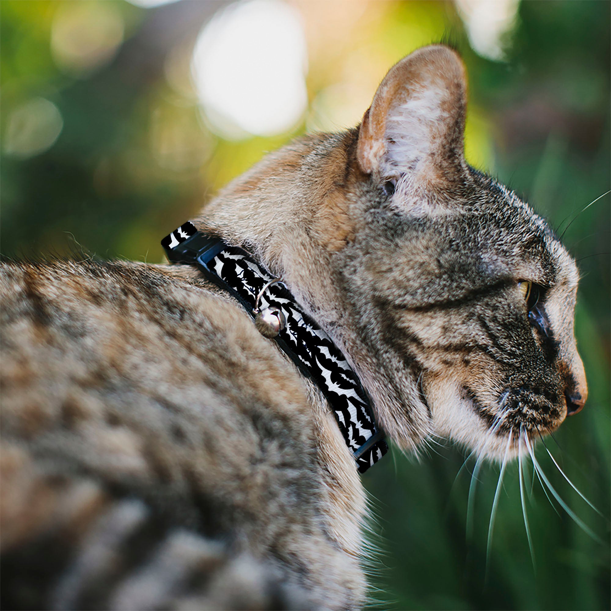Breakaway Cat Collar with Bell - Bats Flying Scattered Black/White Breakaway Cat Collars Buckle-Down