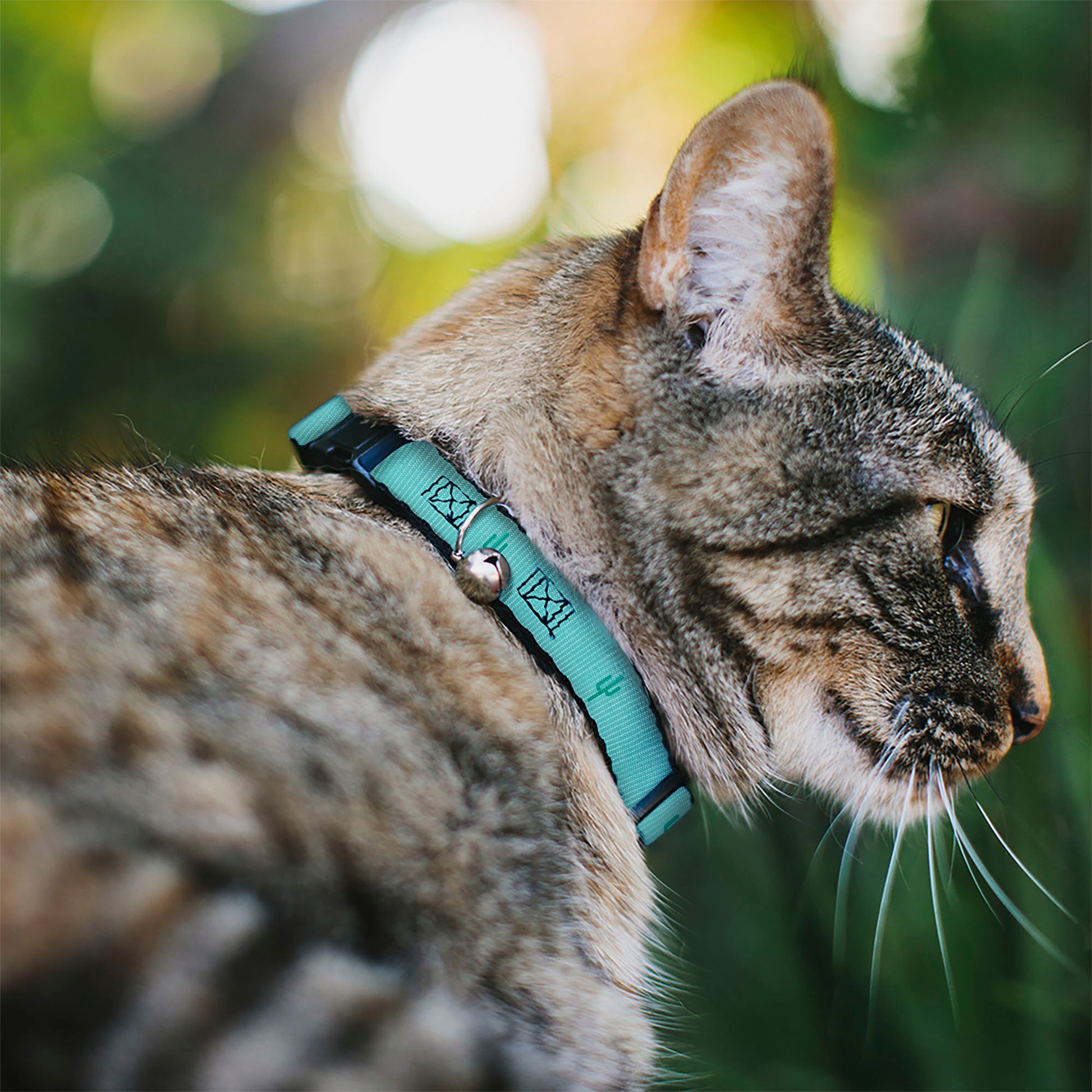 Cat Collar Breakaway - Cacti1 Aqua Blues Breakaway Cat Collars Buckle-Down
