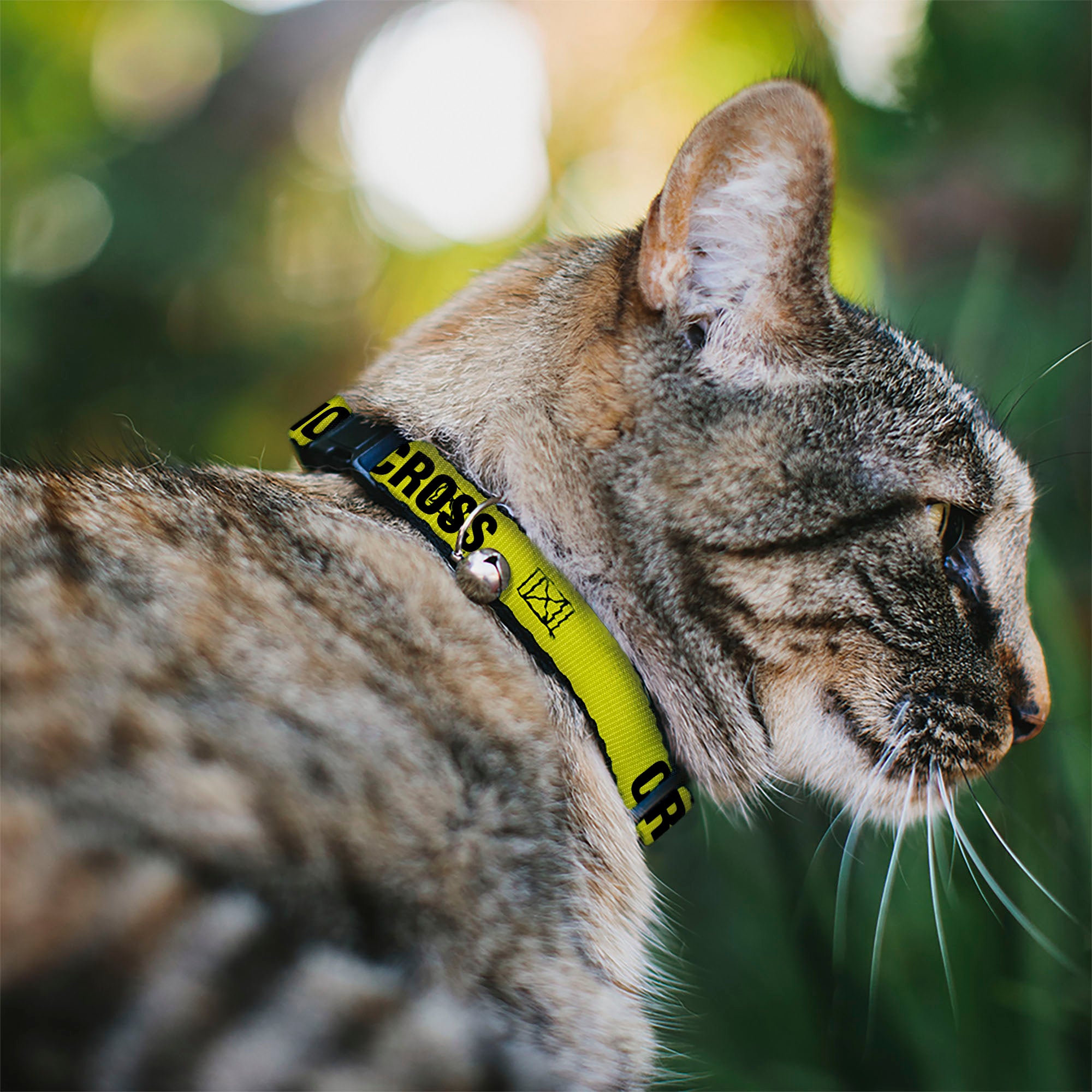 Cat Collar Breakaway - CRIME SCENE DO NOT CROSS Yellow Black Breakaway Cat Collars Buckle-Down