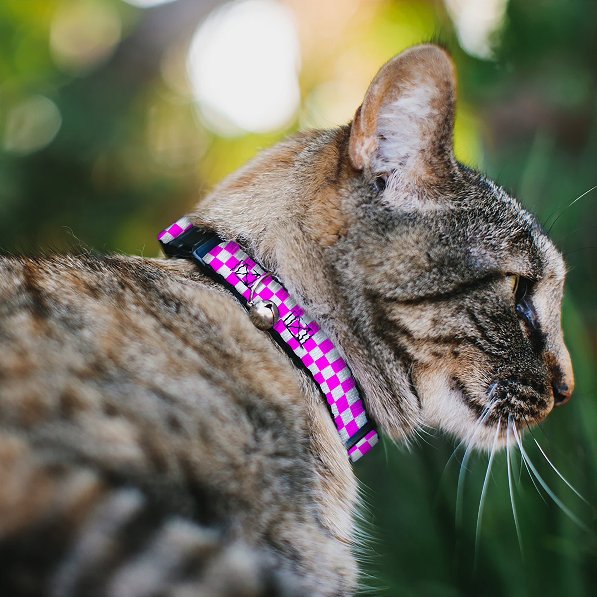 Breakaway Cat Collar with Bell - Checker Fuchsia Pink/White Breakaway Cat Collars Buckle-Down