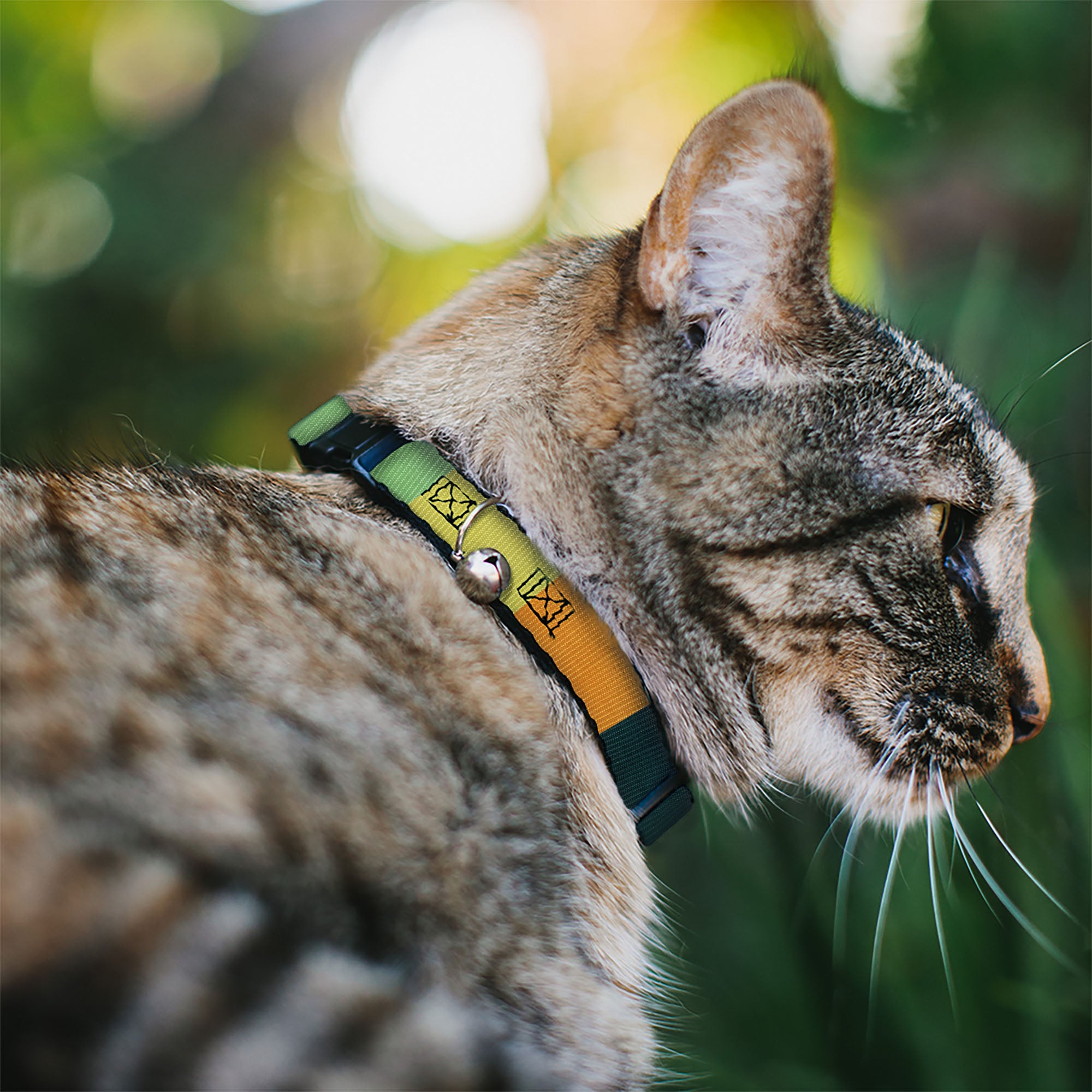 Breakaway Cat Collar with Bell - Summer Essentials Color Block 1 Breakaway Cat Collars Buckle-Down