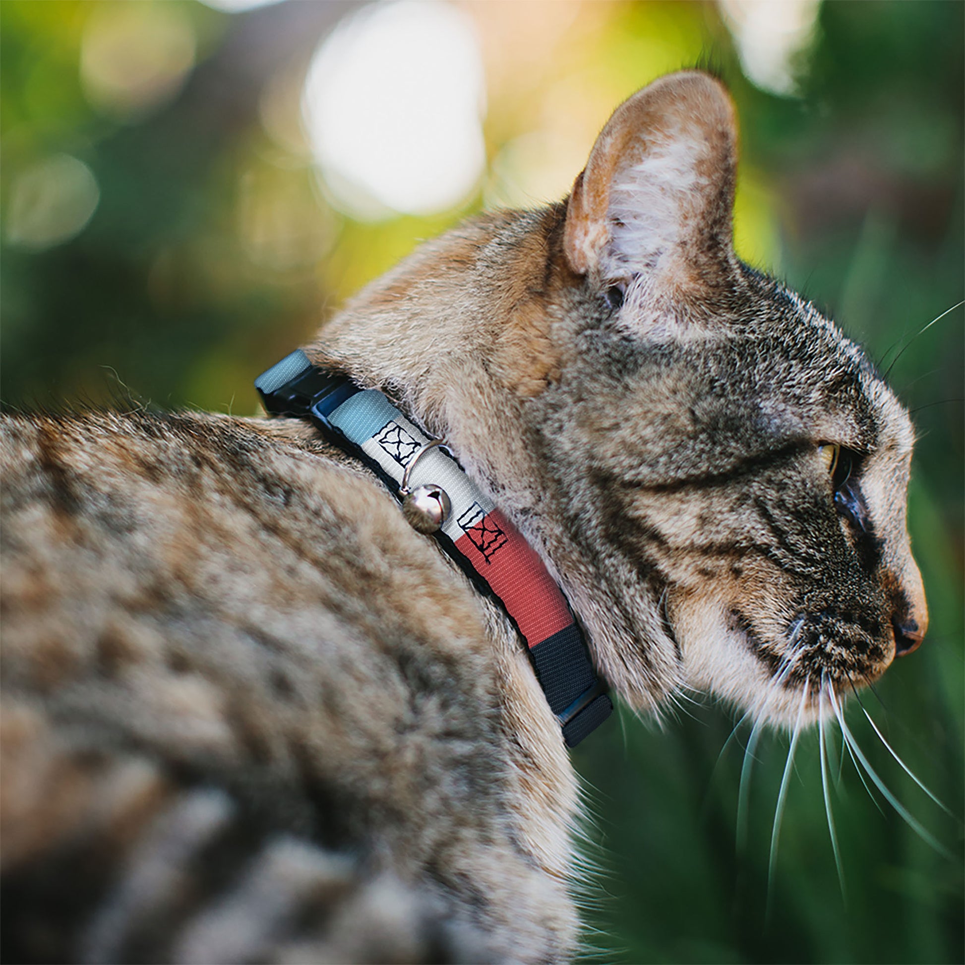 Breakaway Cat Collar with Bell - Summer Essentials Color Block 4 Breakaway Cat Collars Buckle-Down