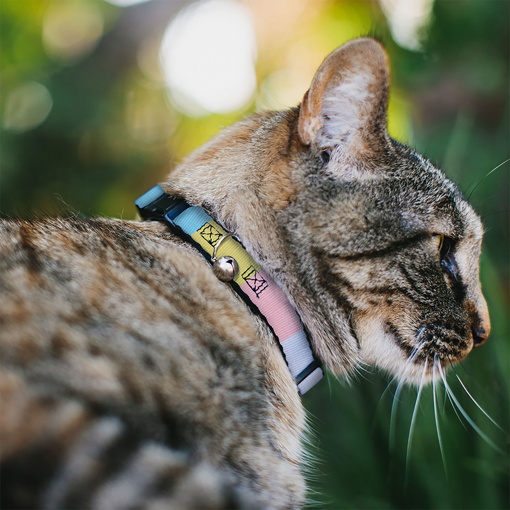 Breakaway Cat Collar with Bell - Summer Essentials Color Block 6 Breakaway Cat Collars Buckle-Down