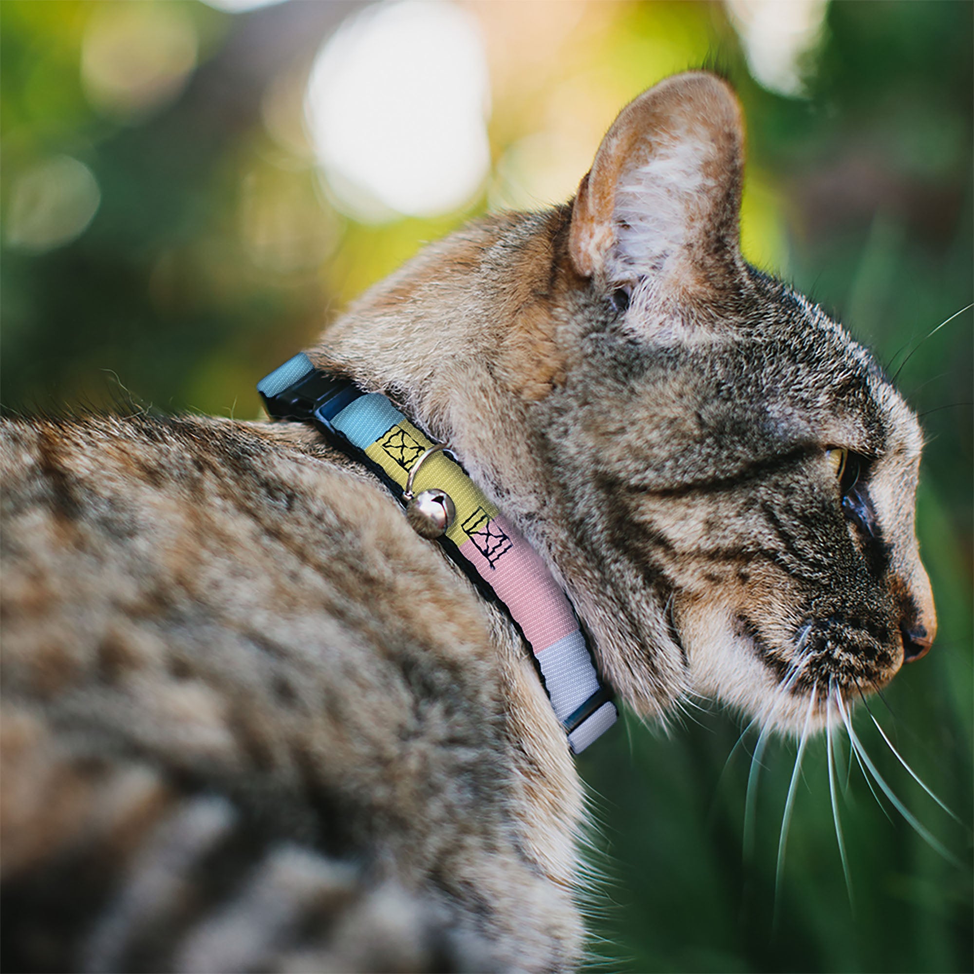 Breakaway Cat Collar with Bell - Summer Essentials Color Block 6 Breakaway Cat Collars Buckle-Down
