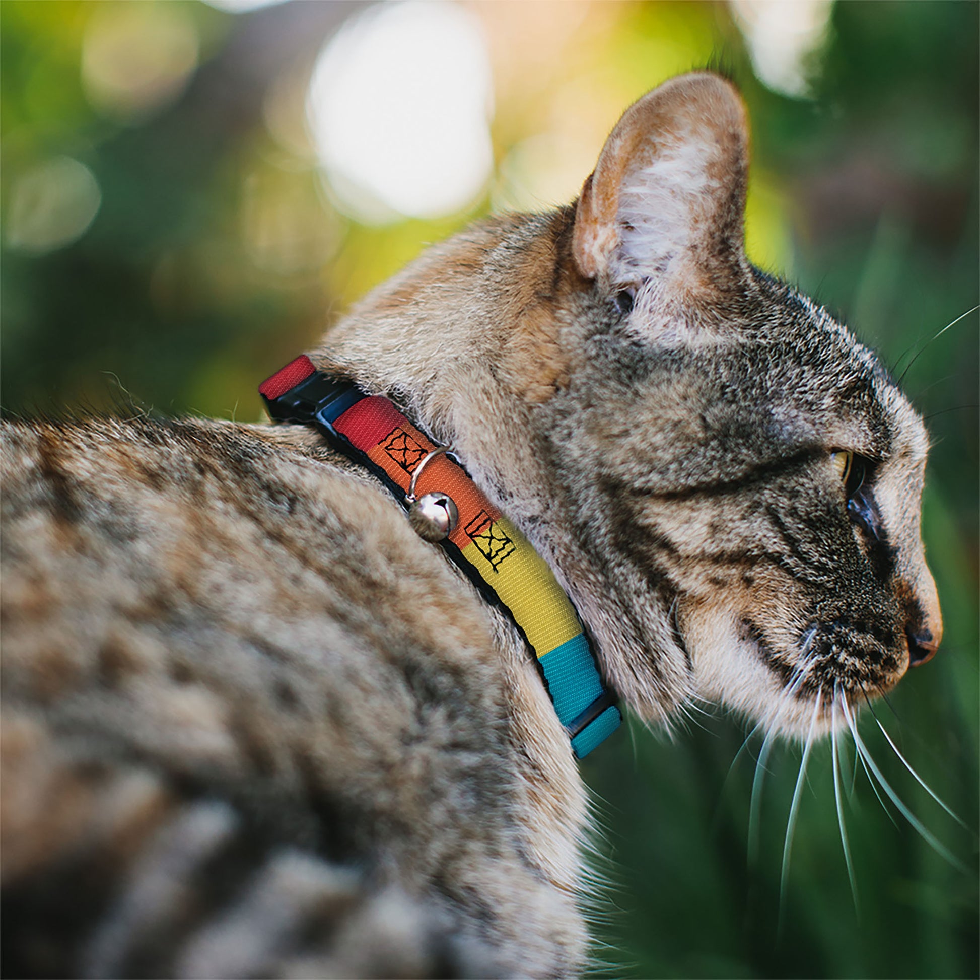 Breakaway Cat Collar with Bell - Summer Essentials Color Block 9 Breakaway Cat Collars Buckle-Down