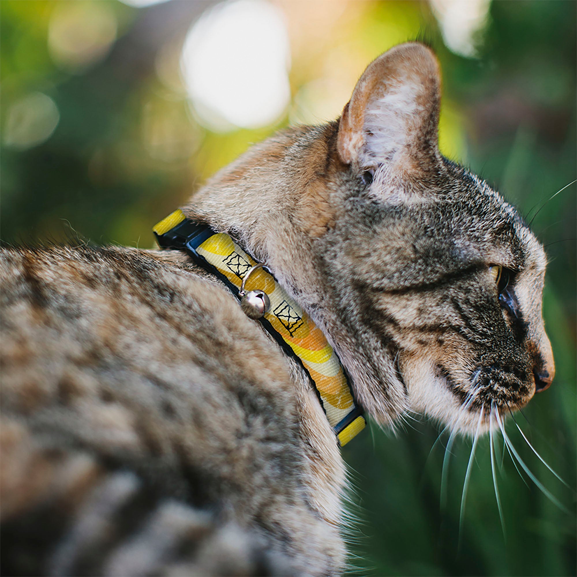 Breakaway Cat Collar with Bell - Spots Stacked Weathered Yellows/Browns Breakaway Cat Collars Buckle-Down